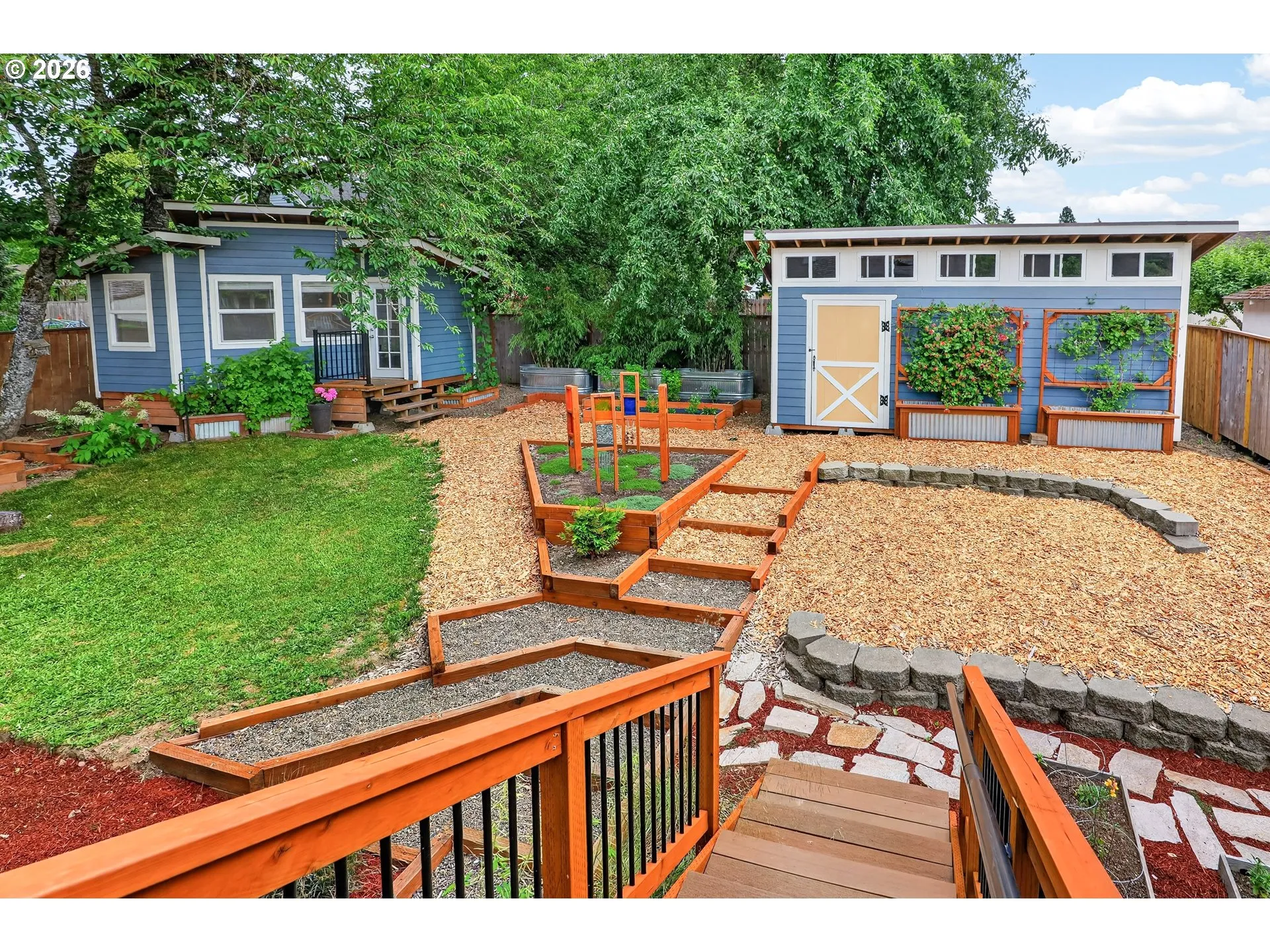 Backyard