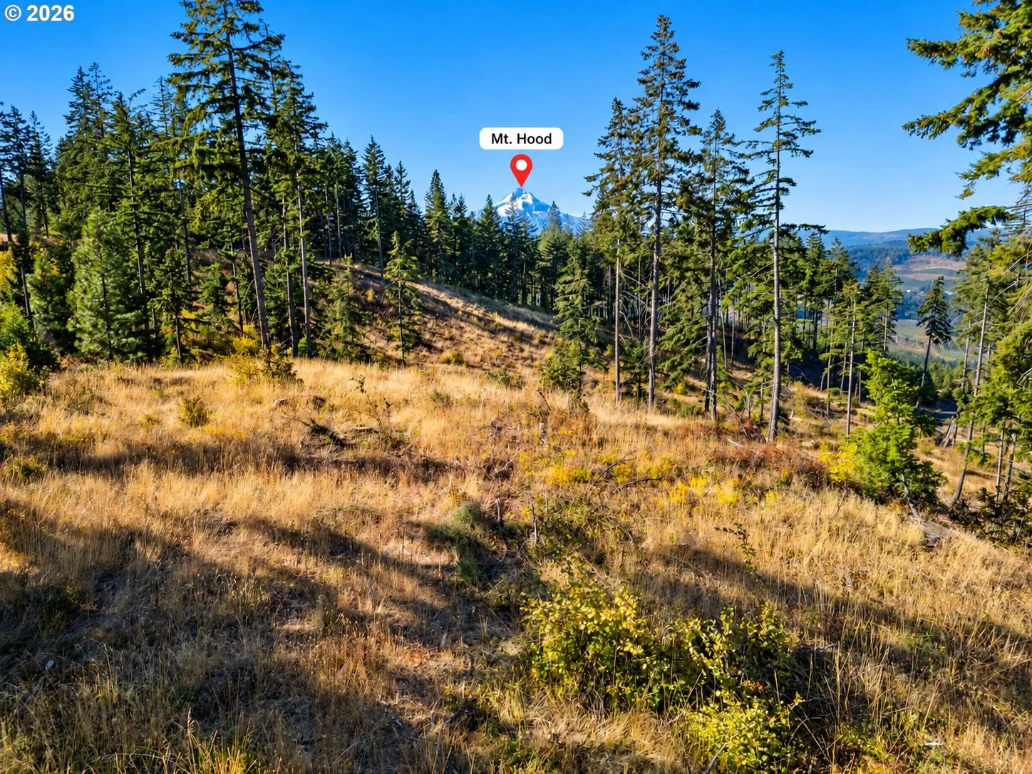 View-Mountain