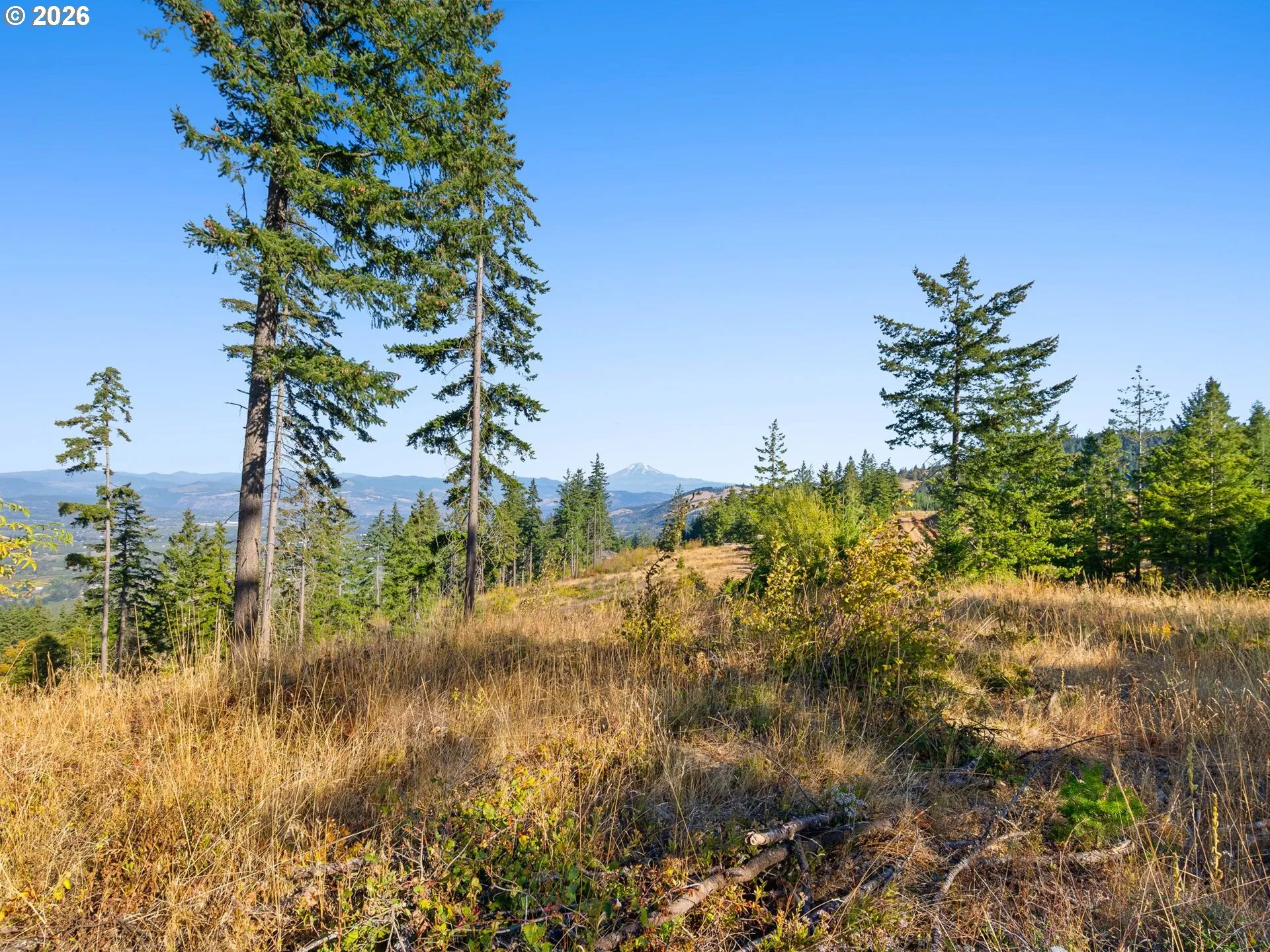View-Mountain