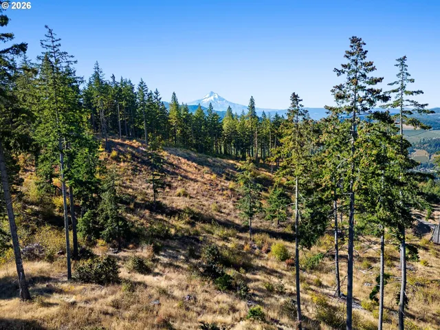 View-Mountain