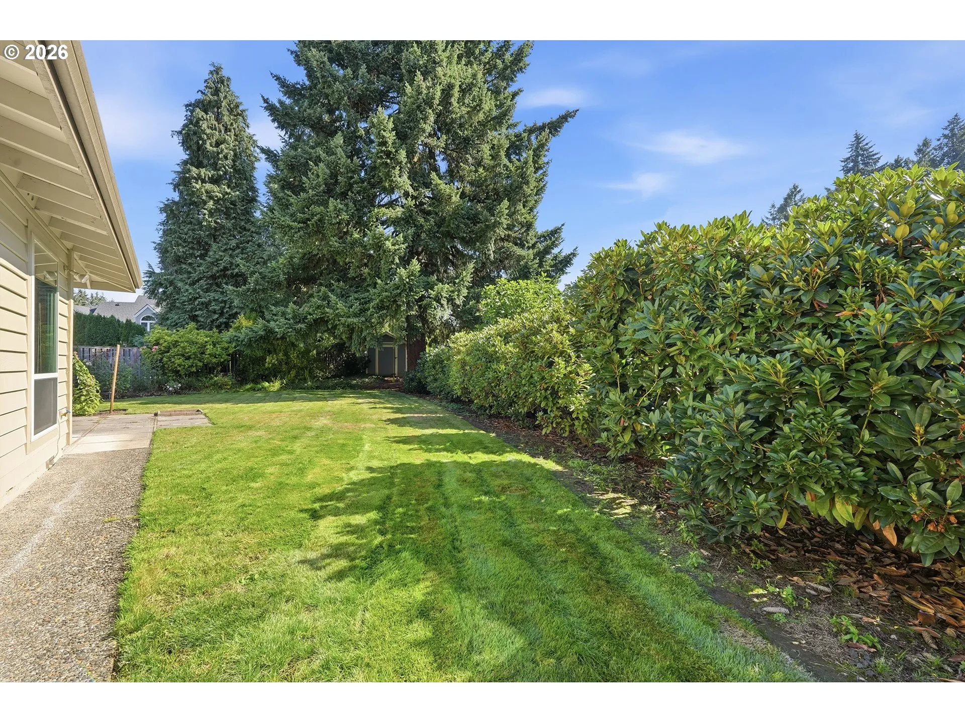 Backyard