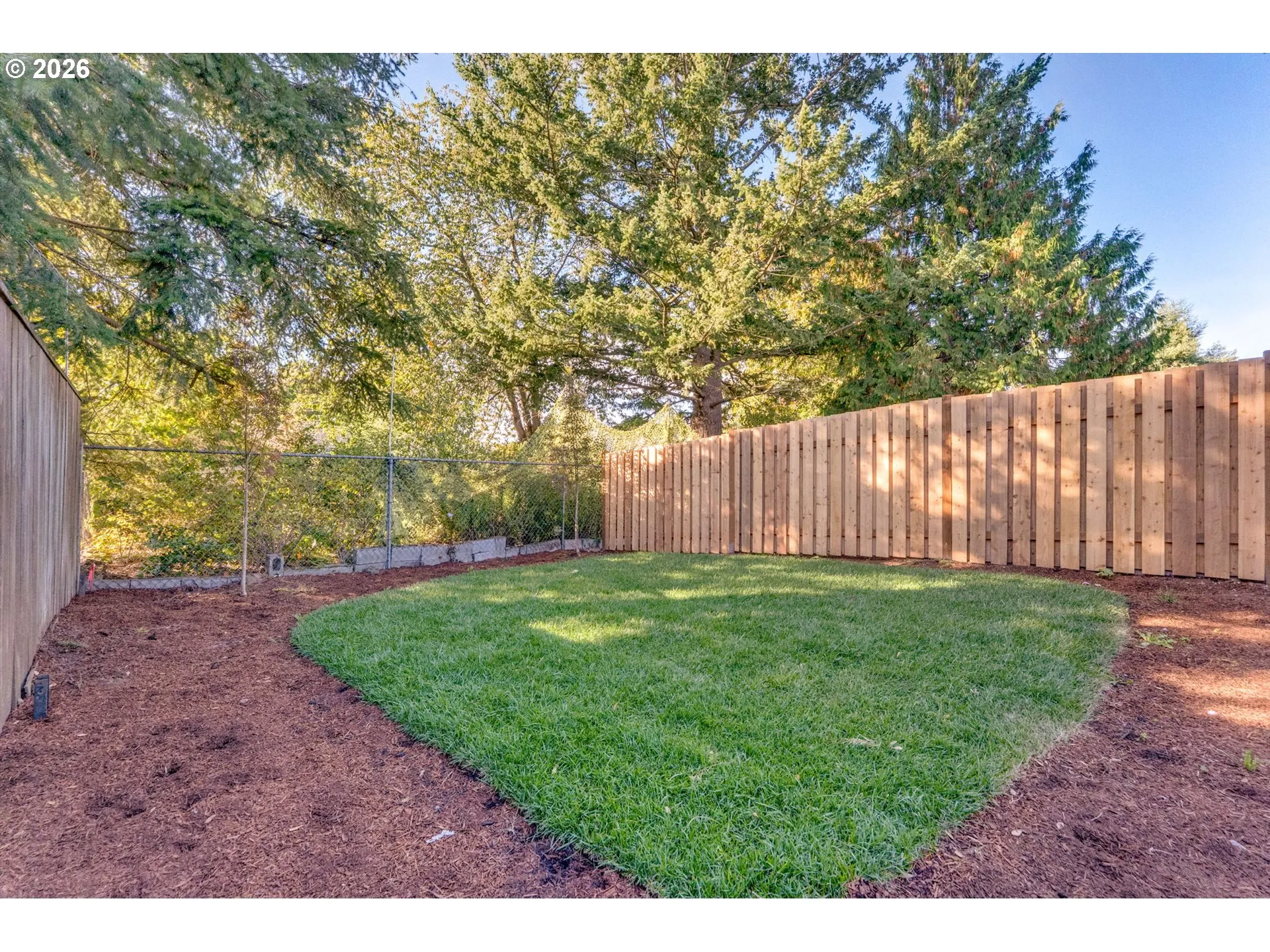 Backyard-Fenced