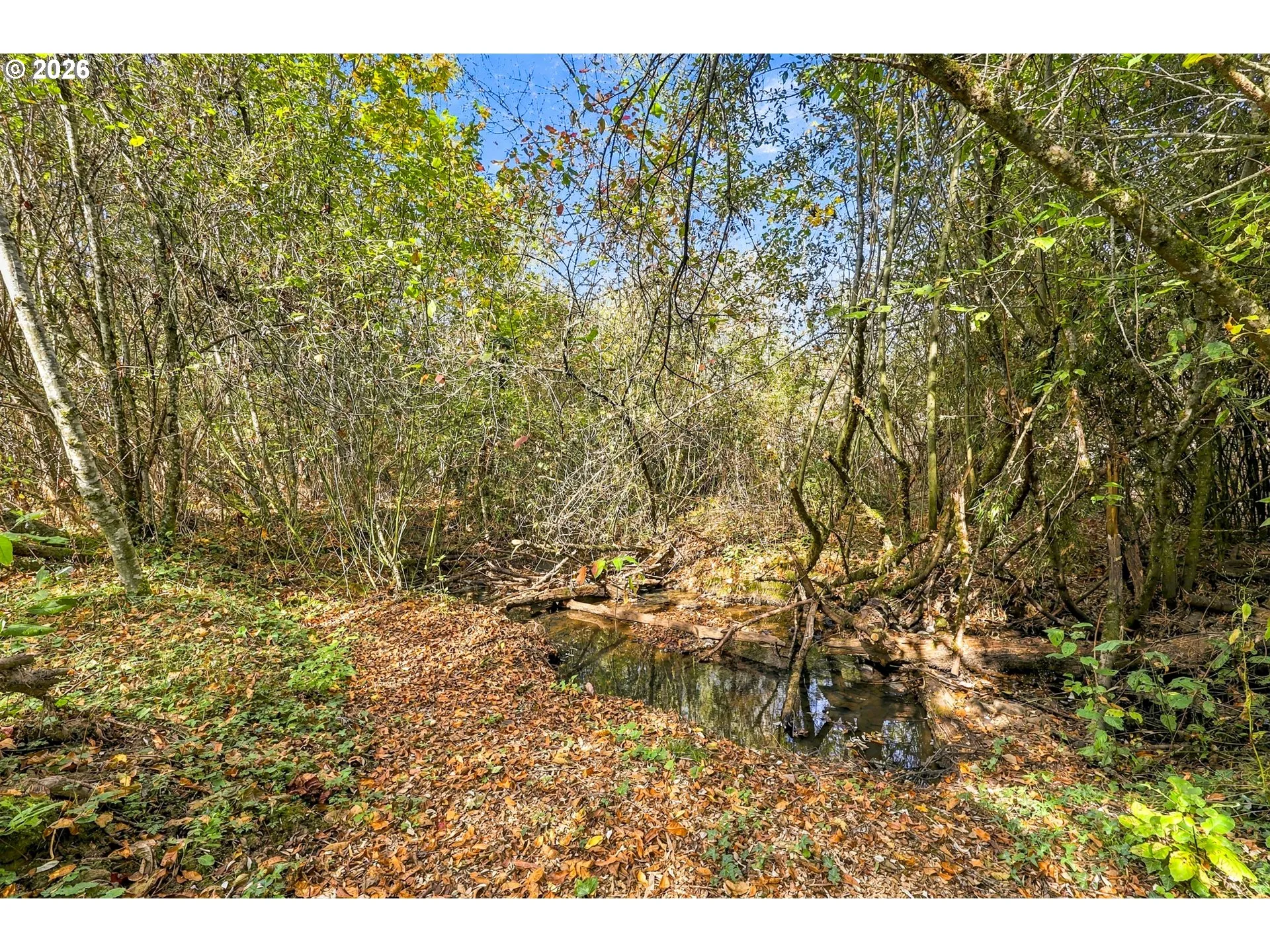Creek-Year Round