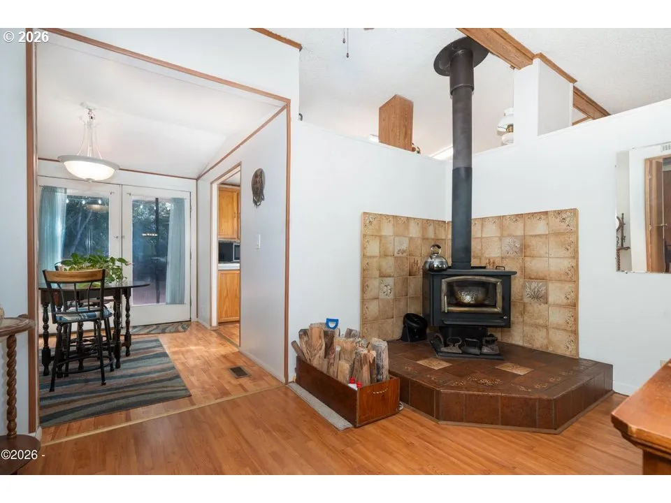 Fireplace Wood Burning Stove/Insert