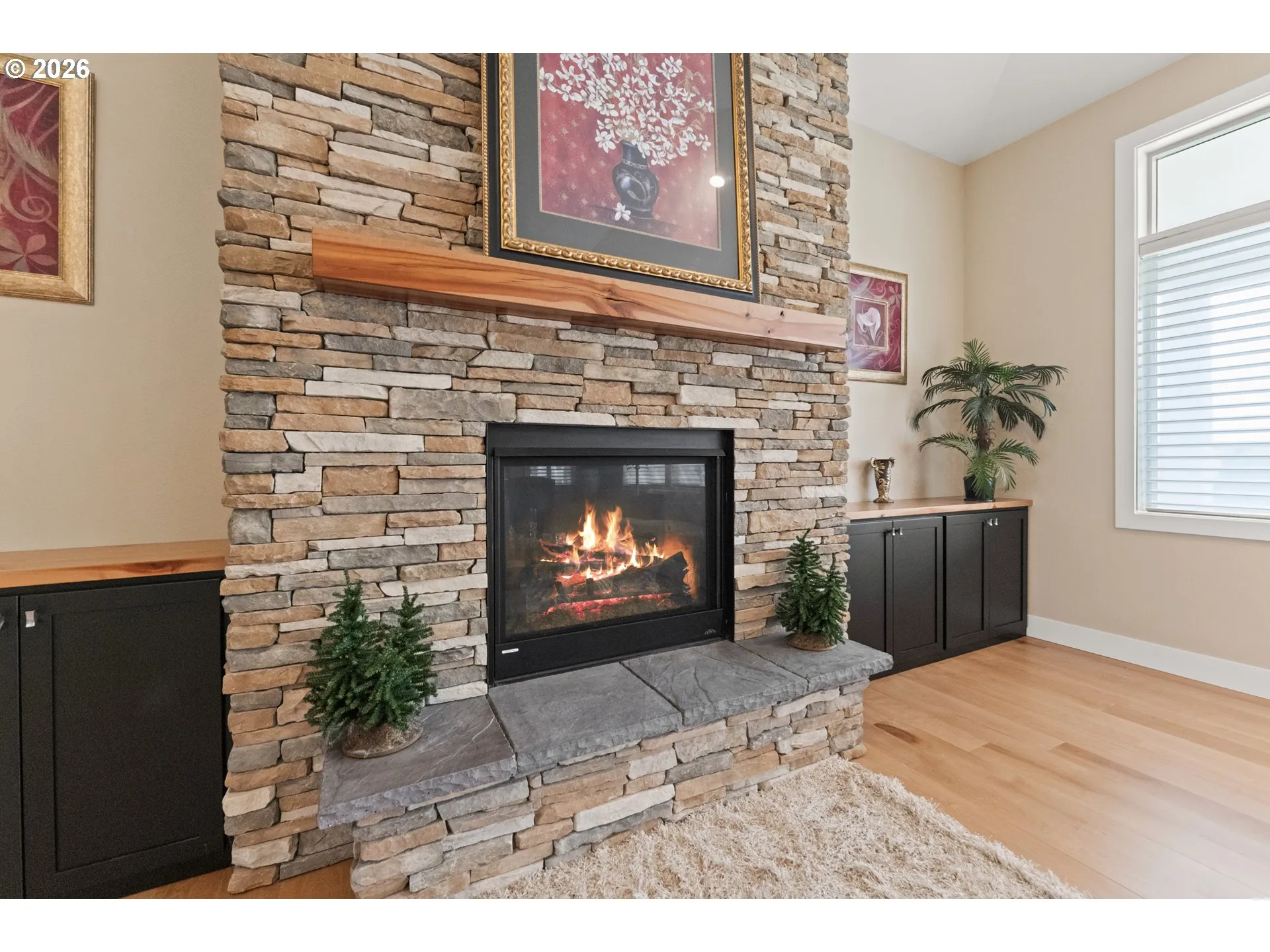 Fireplace Gas