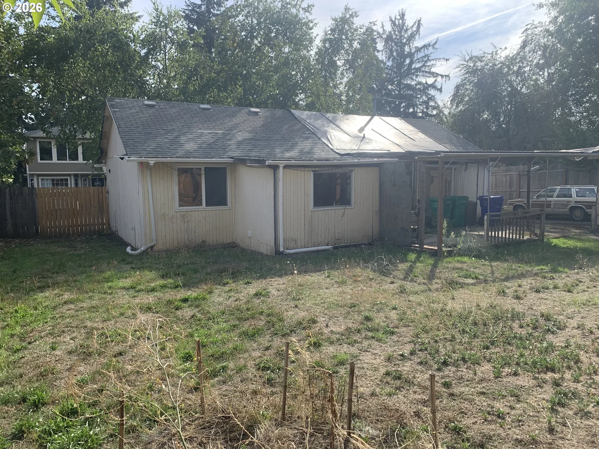 Backyard-View From