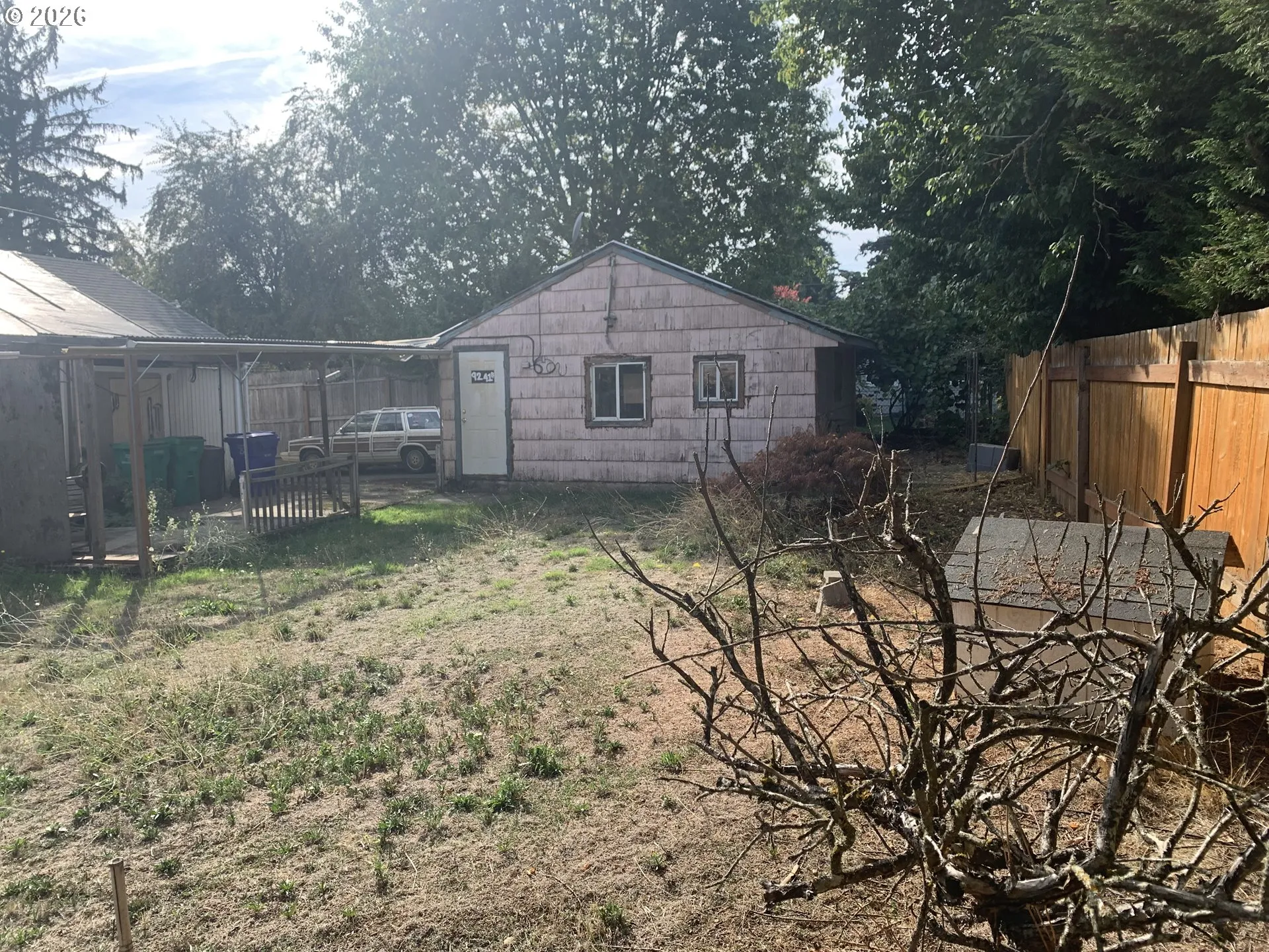 Backyard-View From