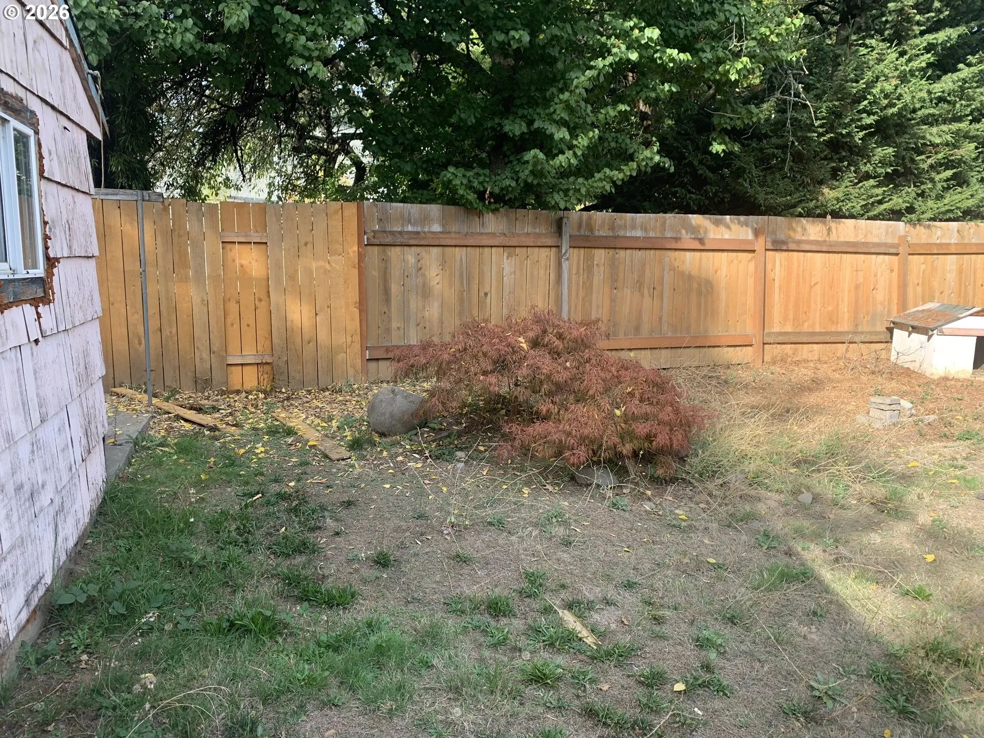 Backyard-Fenced