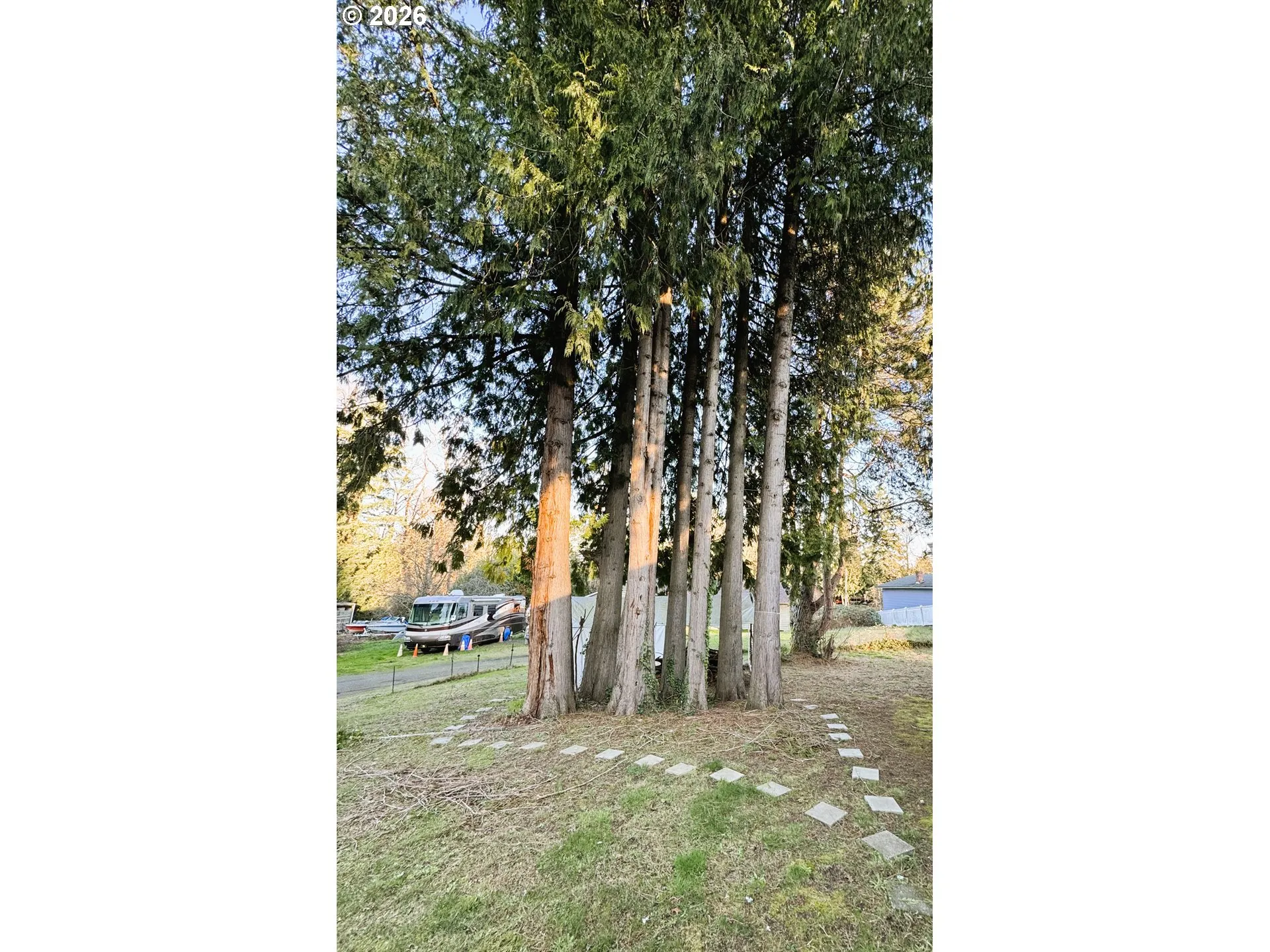 Yard-Trees
