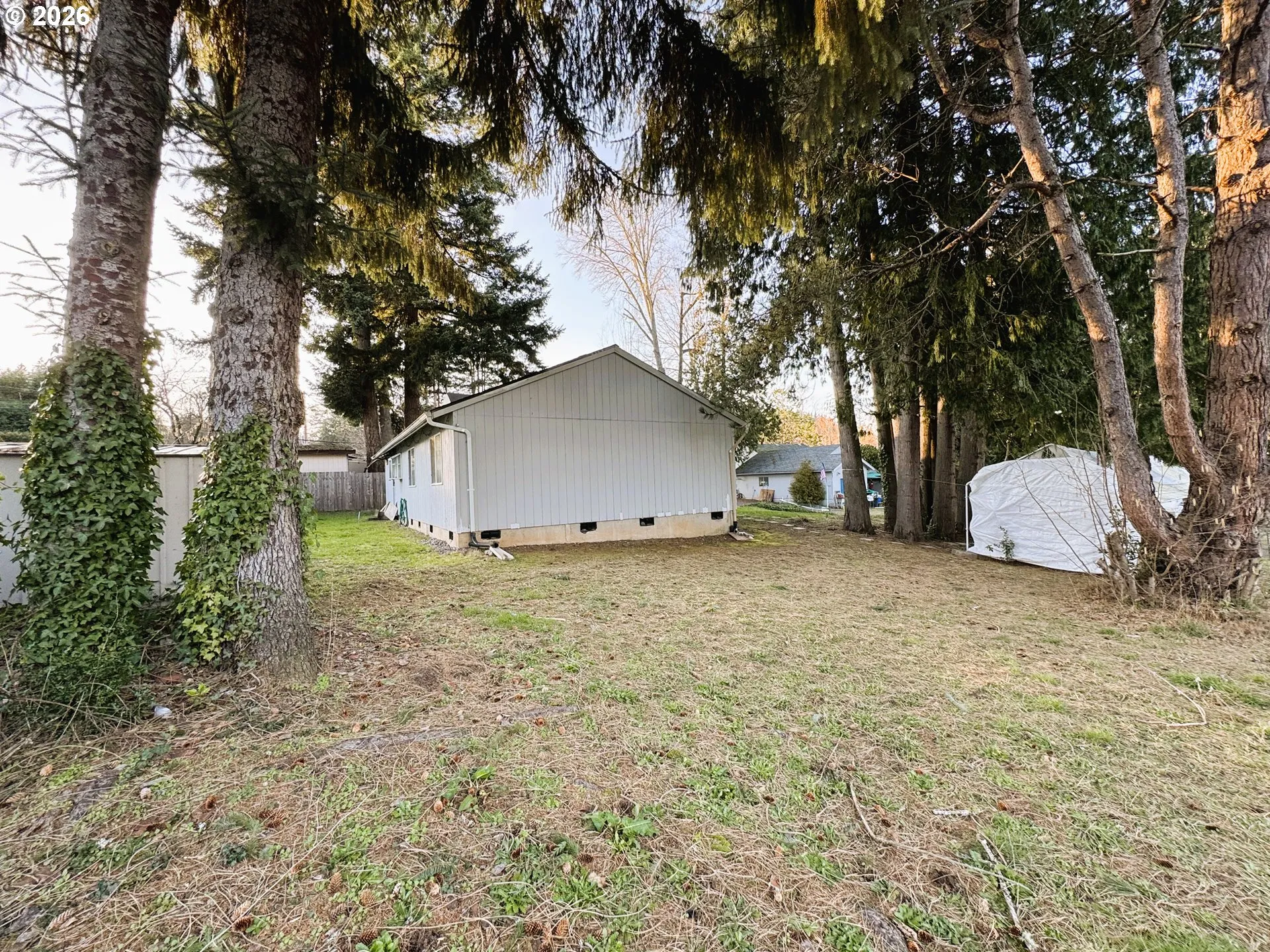 Yard-Trees