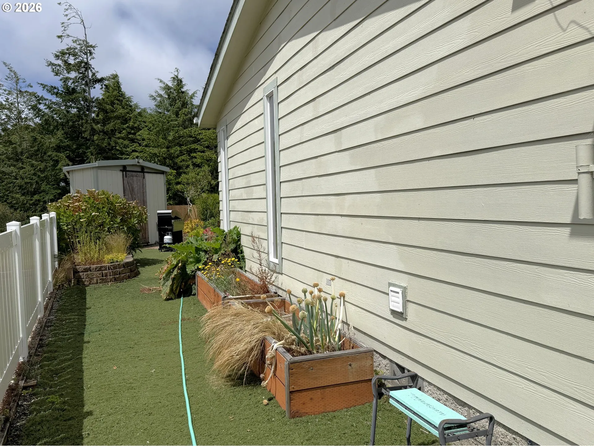 Backyard