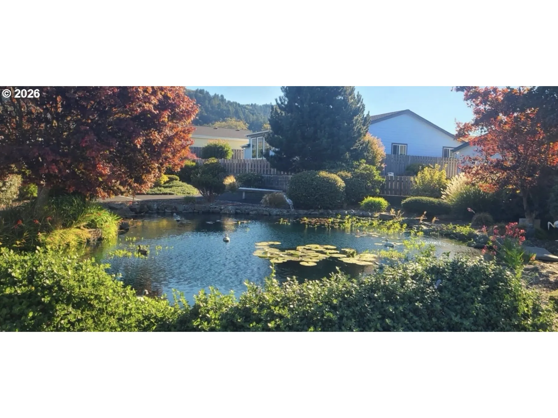Community Park
