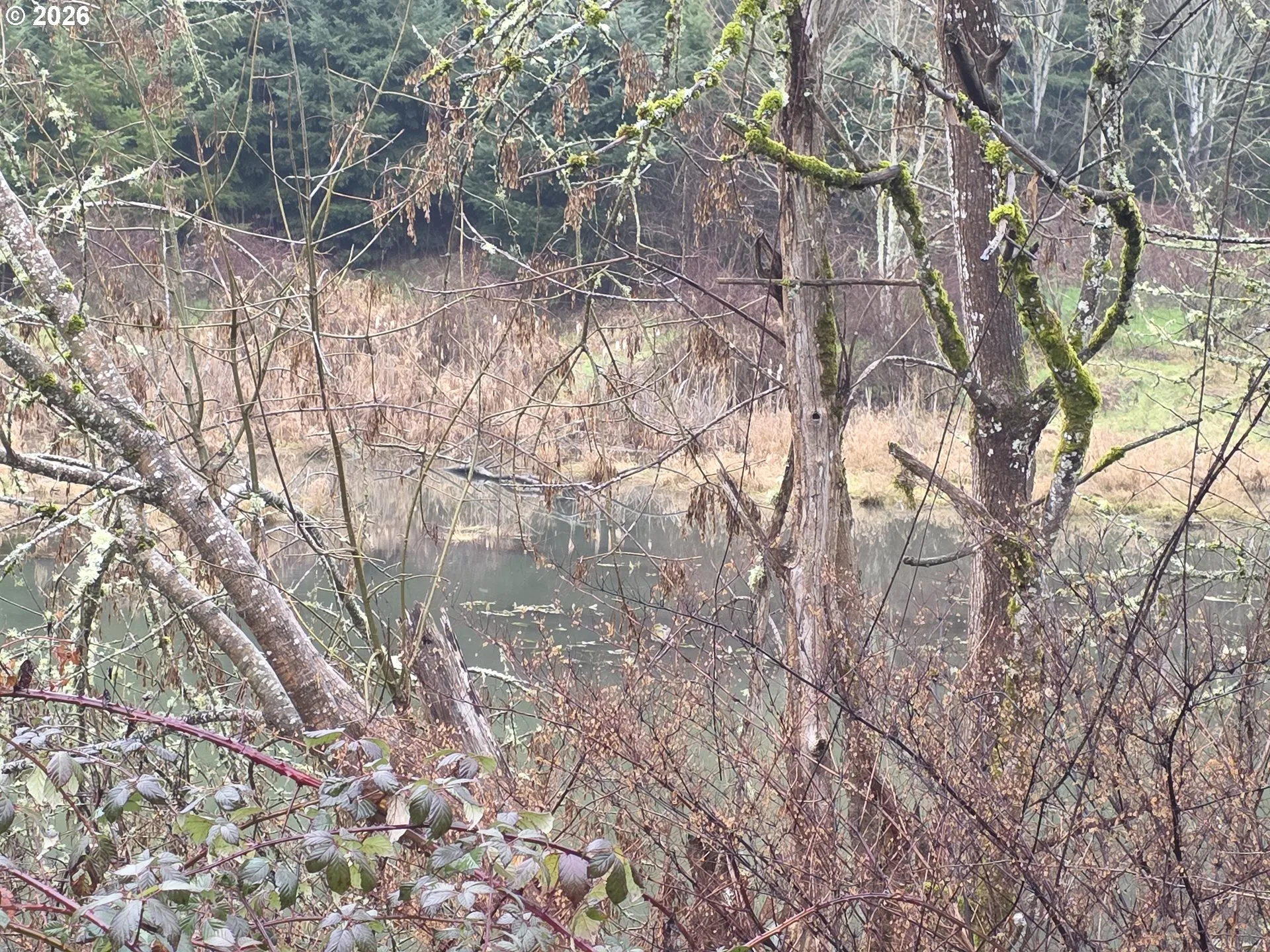 Creek