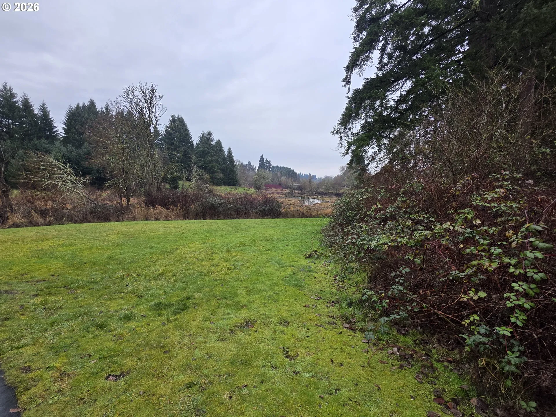 Green Space