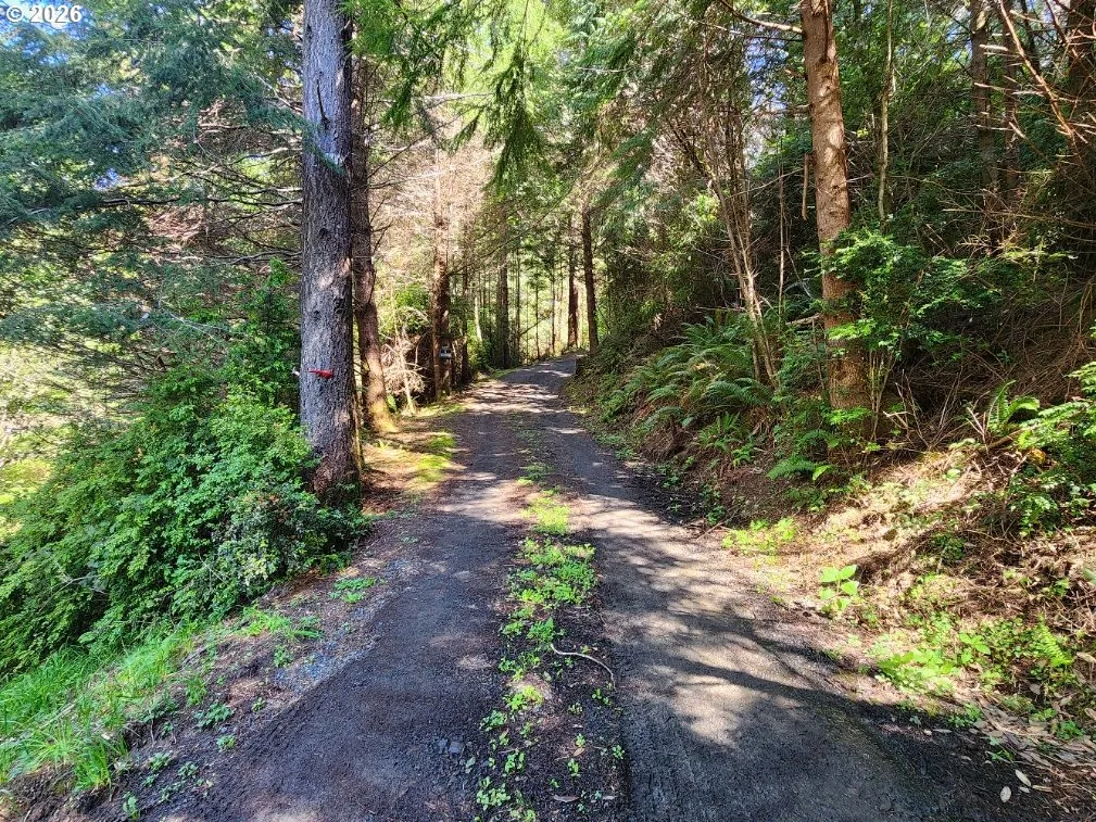 Driveway-Private