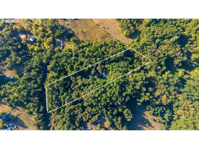 Approximate Property Lines-Wooded / Acreage