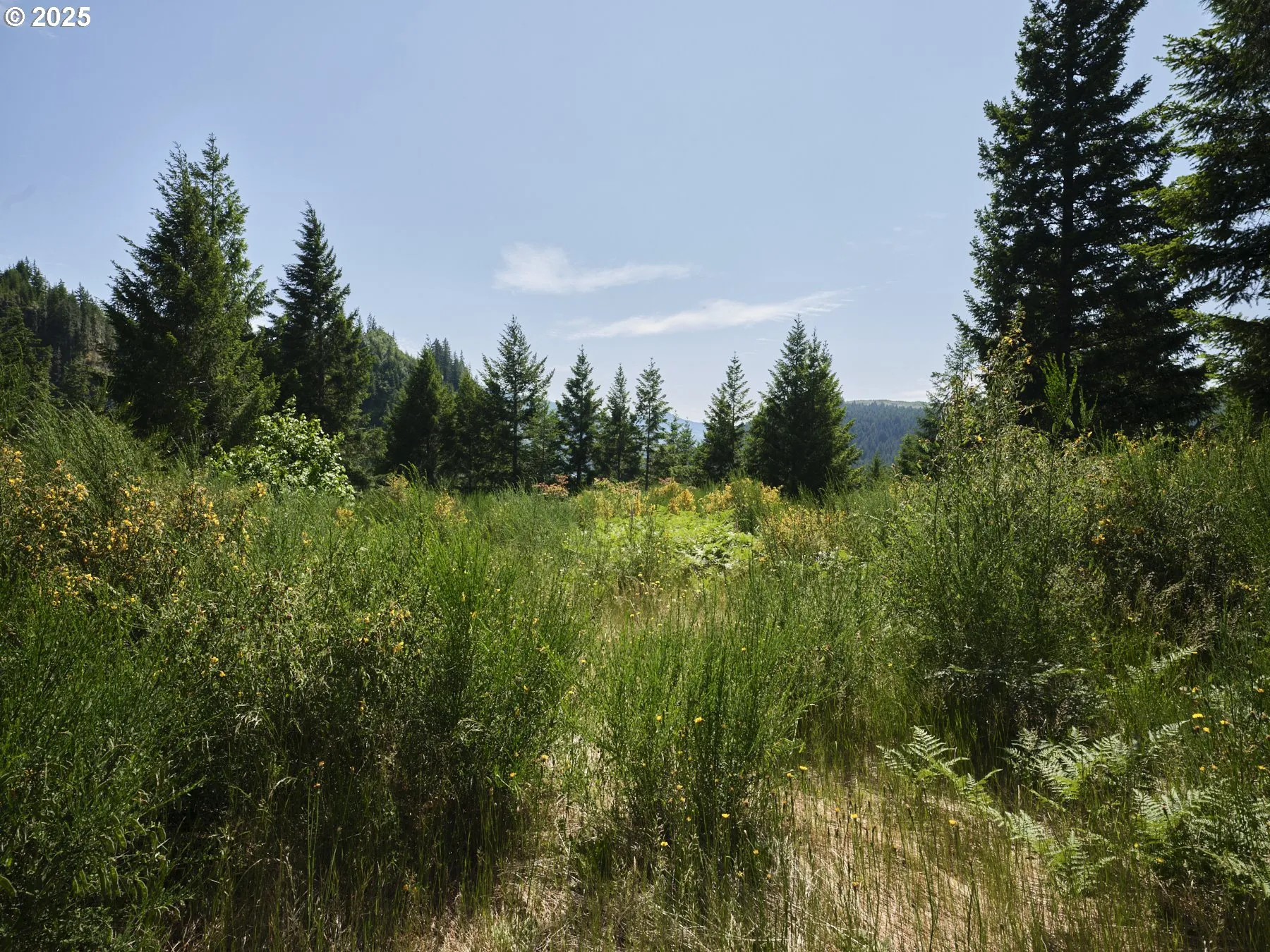 Acreage
