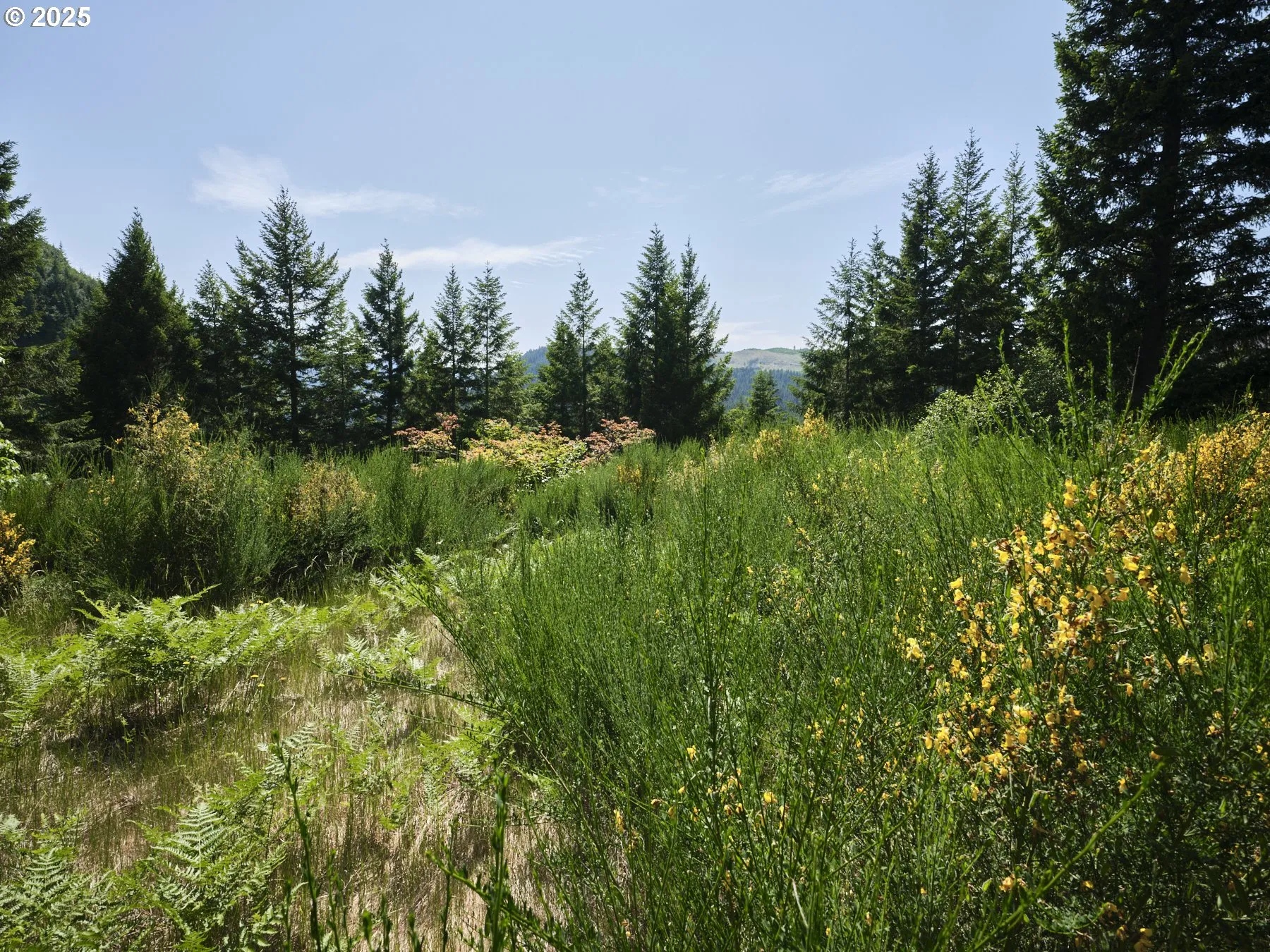 Acreage