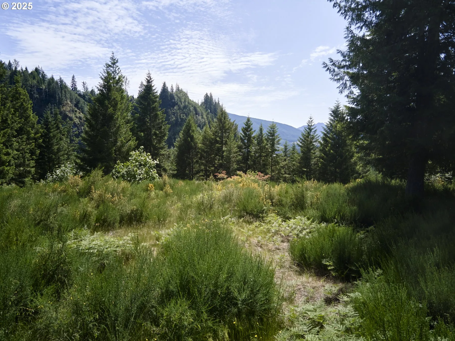 Acreage
