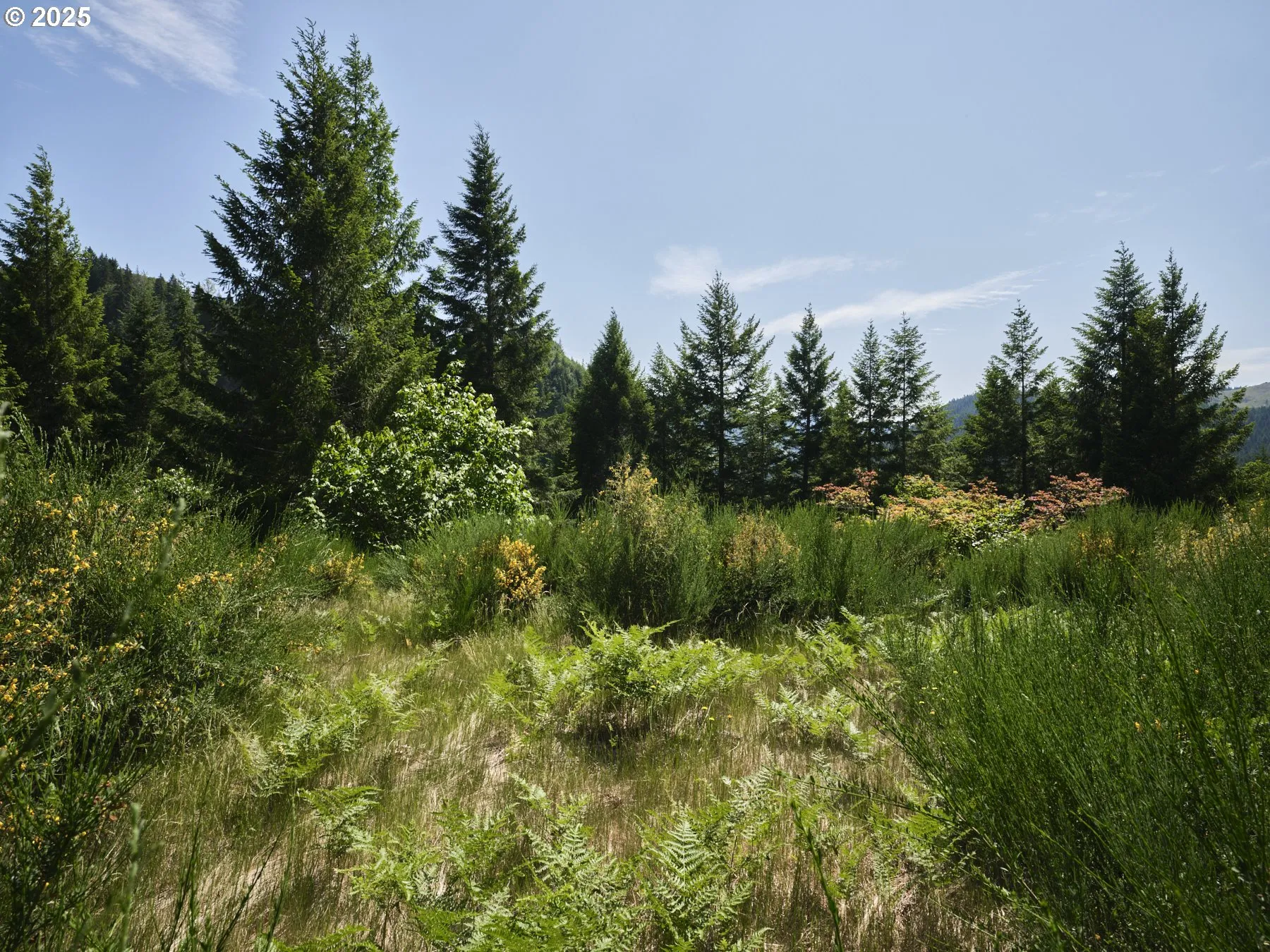 Acreage