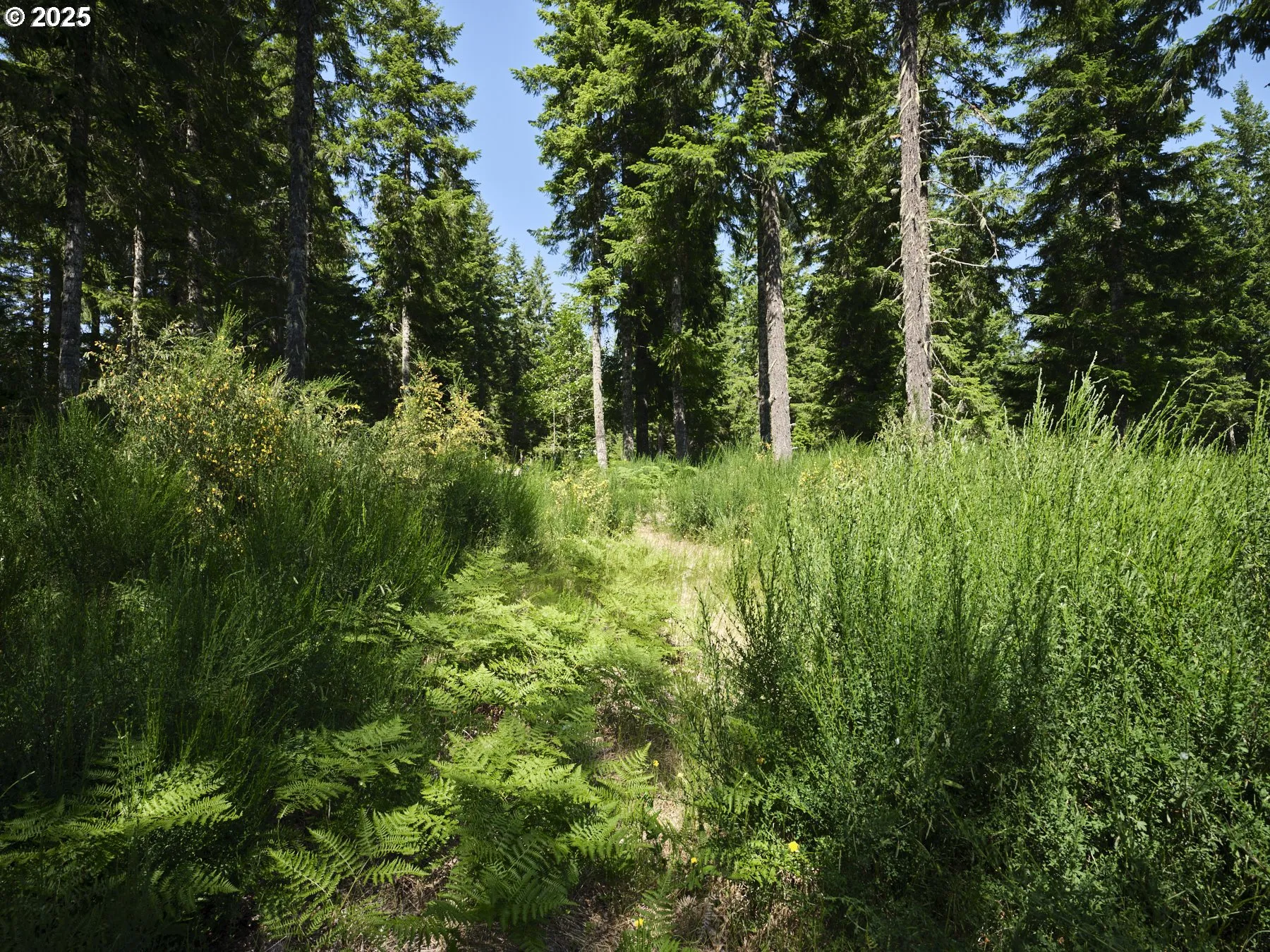 Acreage