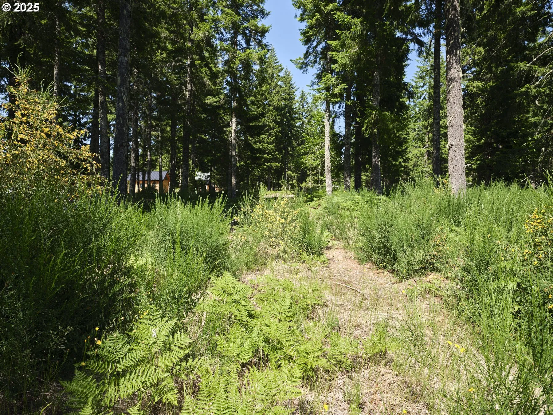 Acreage