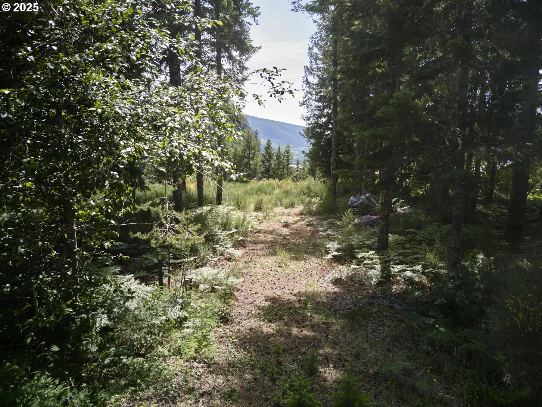 Acreage