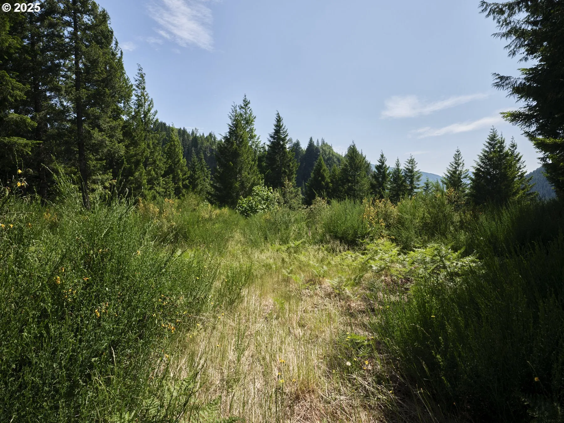 Acreage