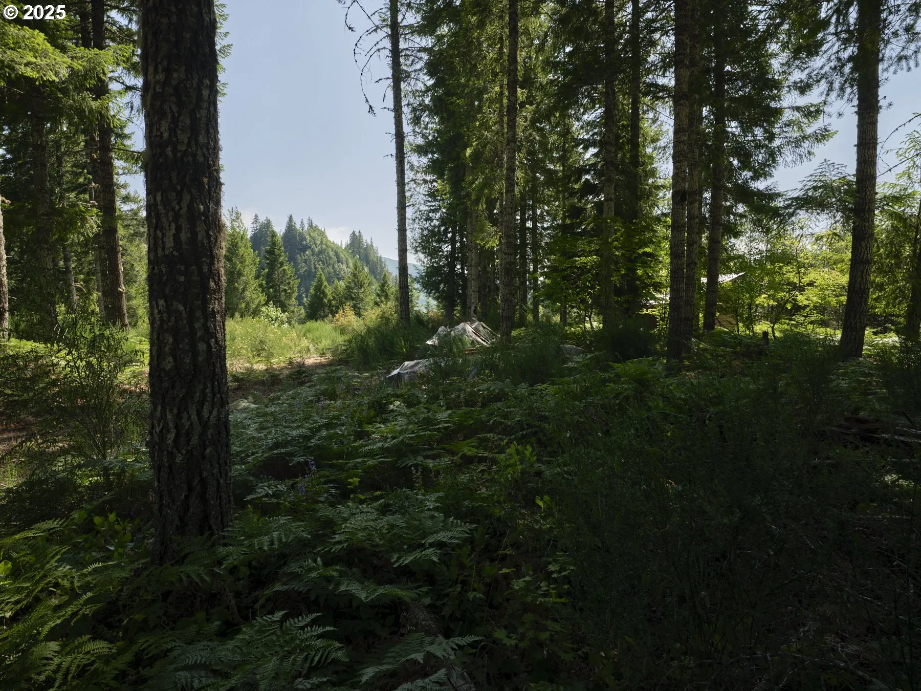 Acreage