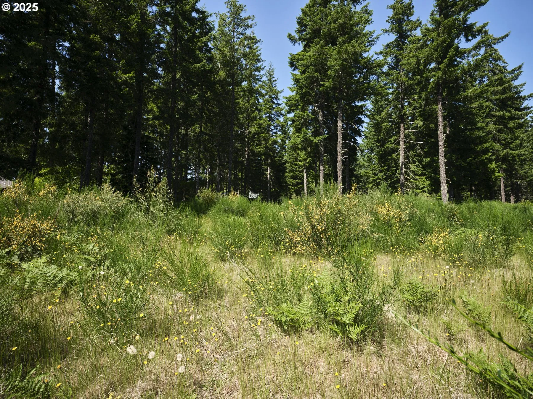 Acreage