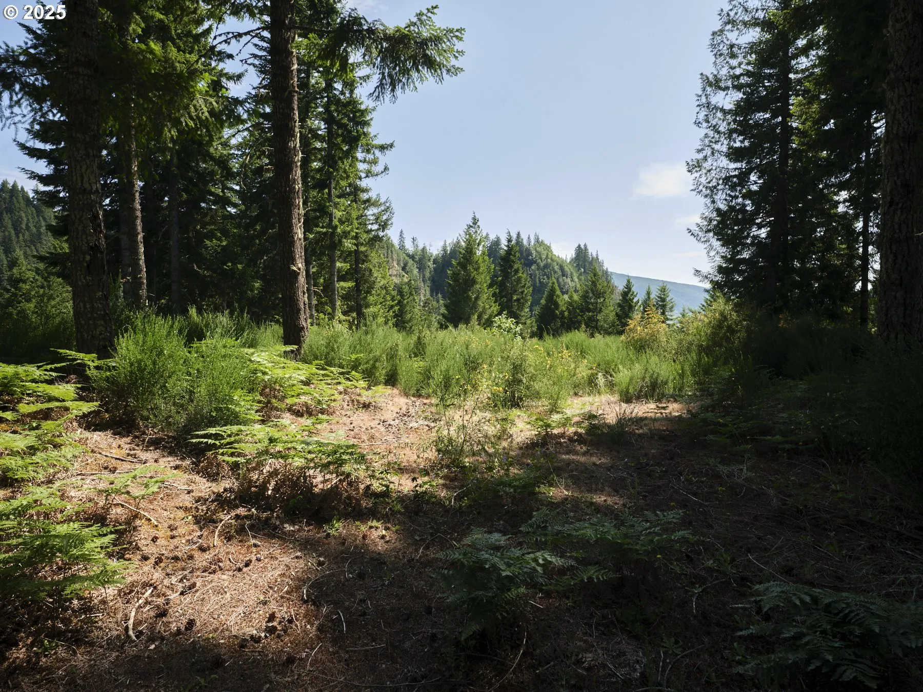 Acreage