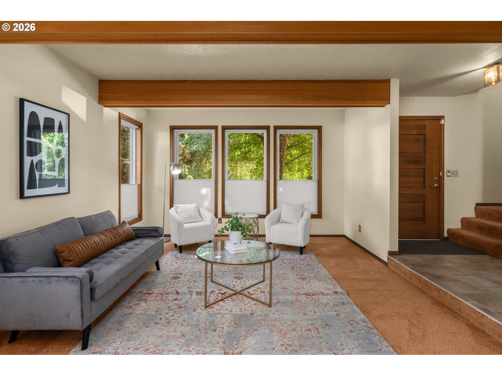 Living Room/Entrance