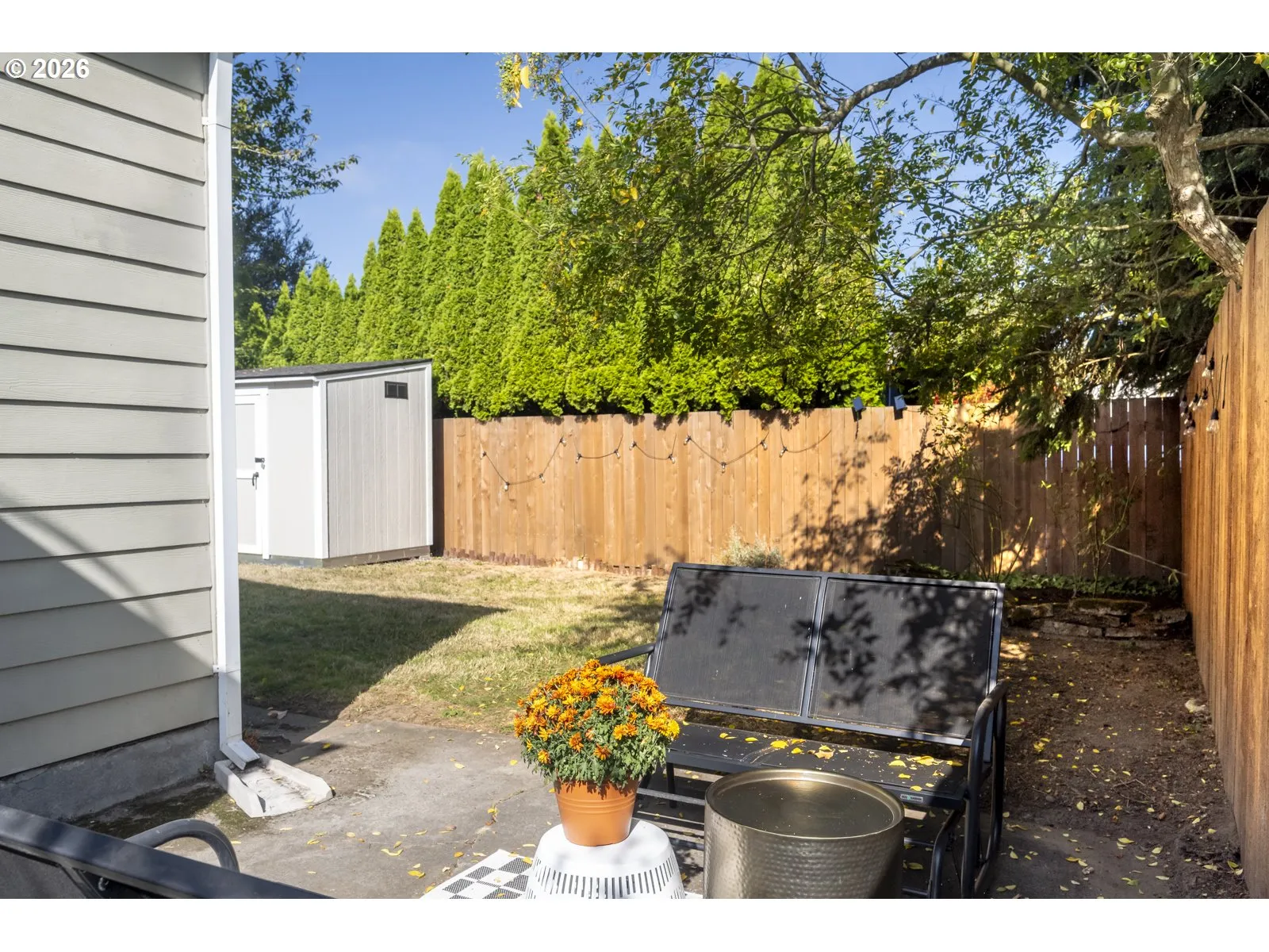 Patio-Backyard