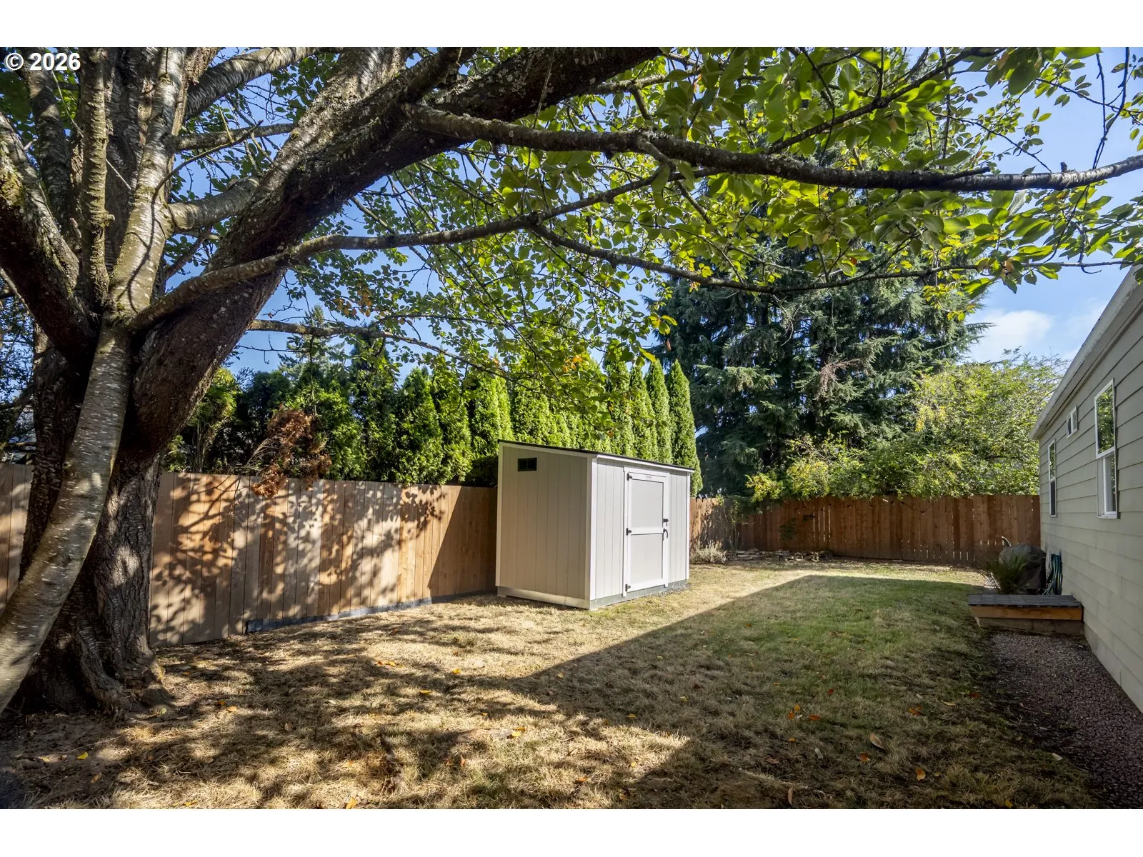 Backyard