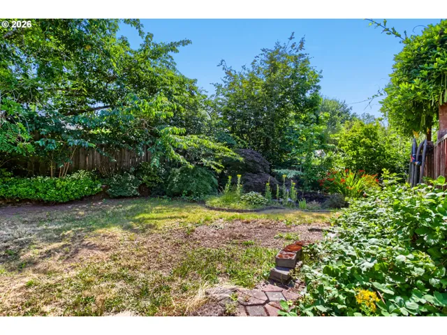 Backyard-Fenced