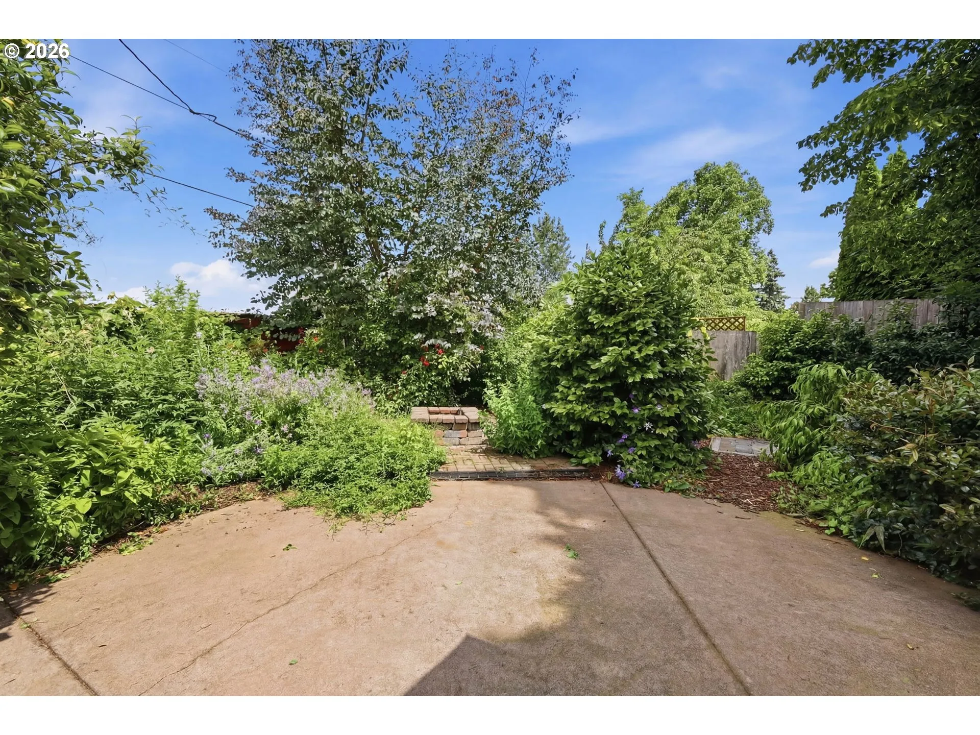 Patio-Backyard