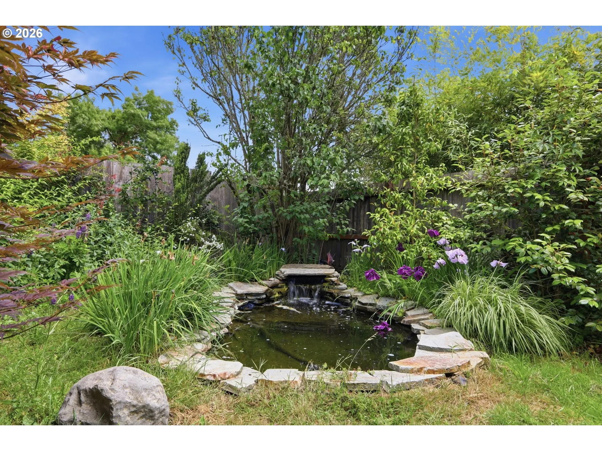 Pond
