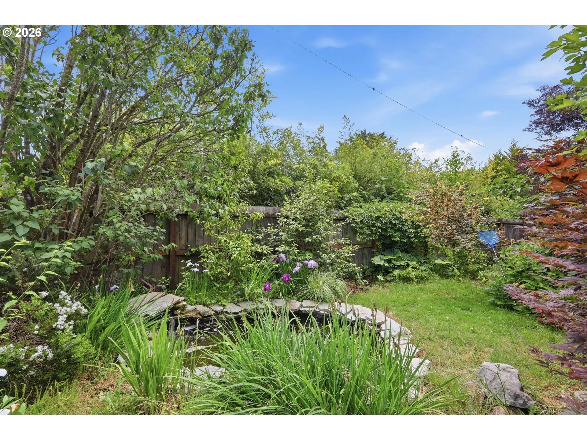 Backyard-Fenced