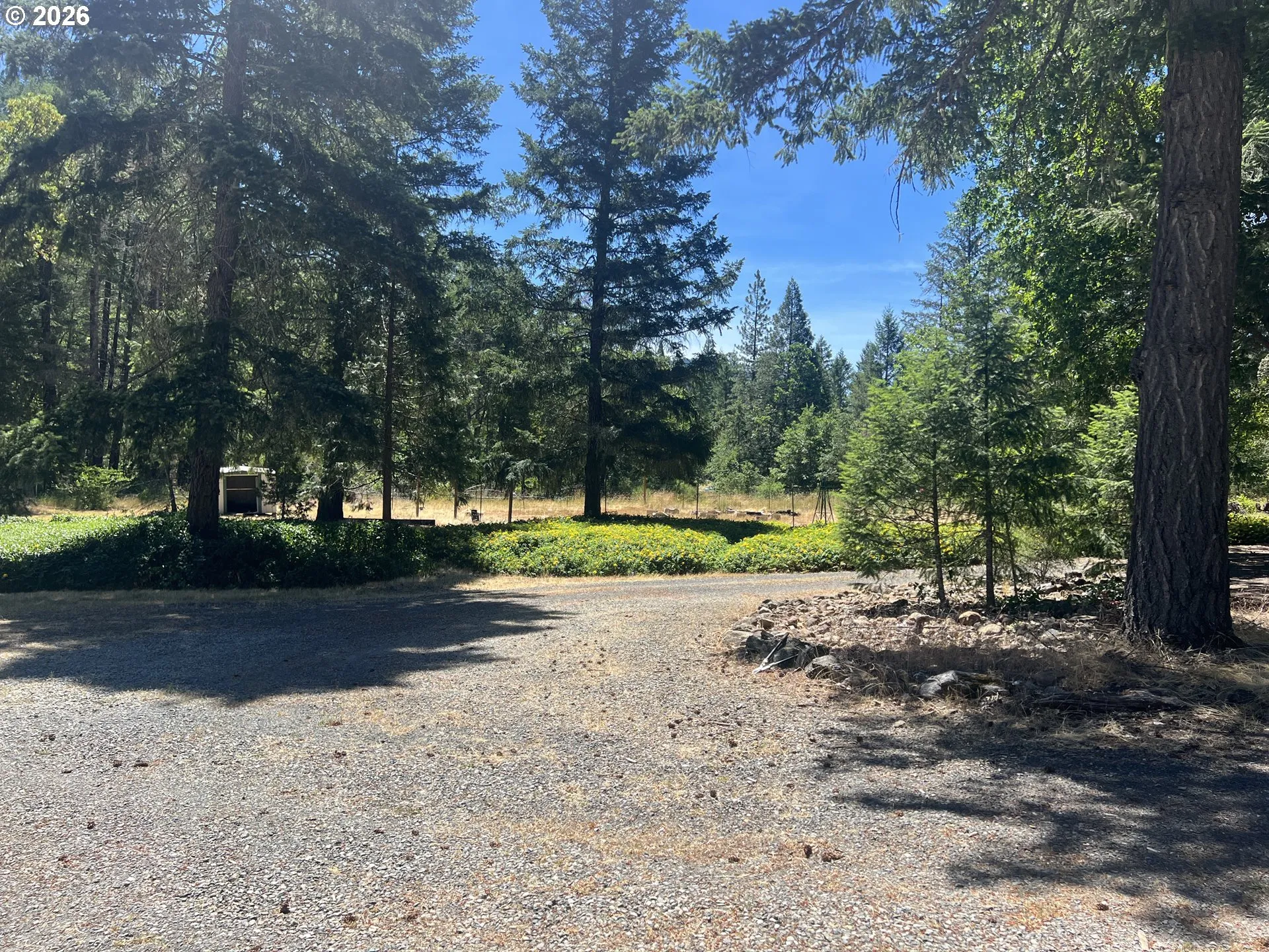 Driveway