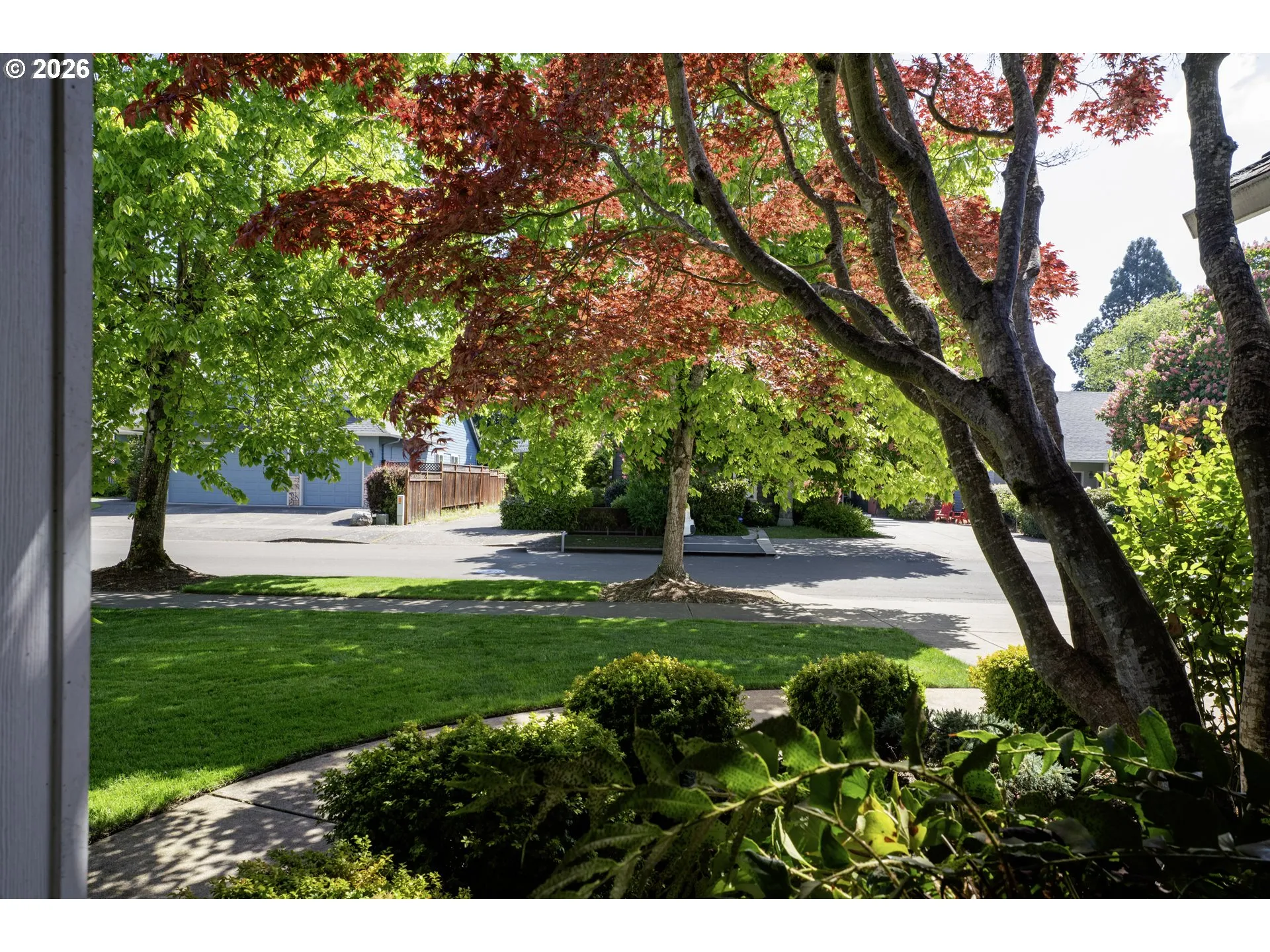 Front Yard