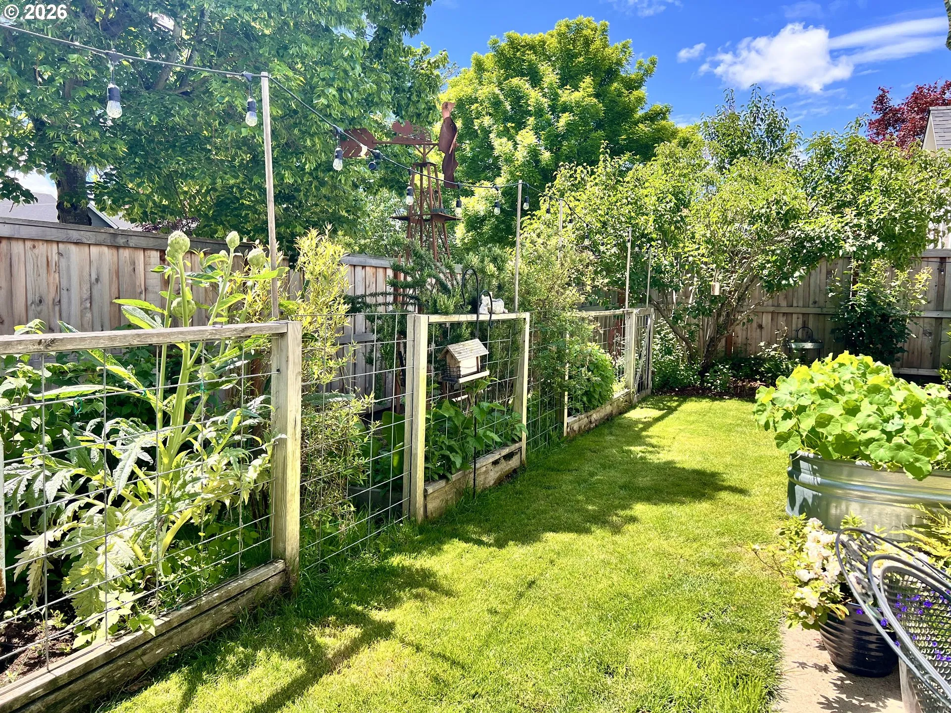 Garden