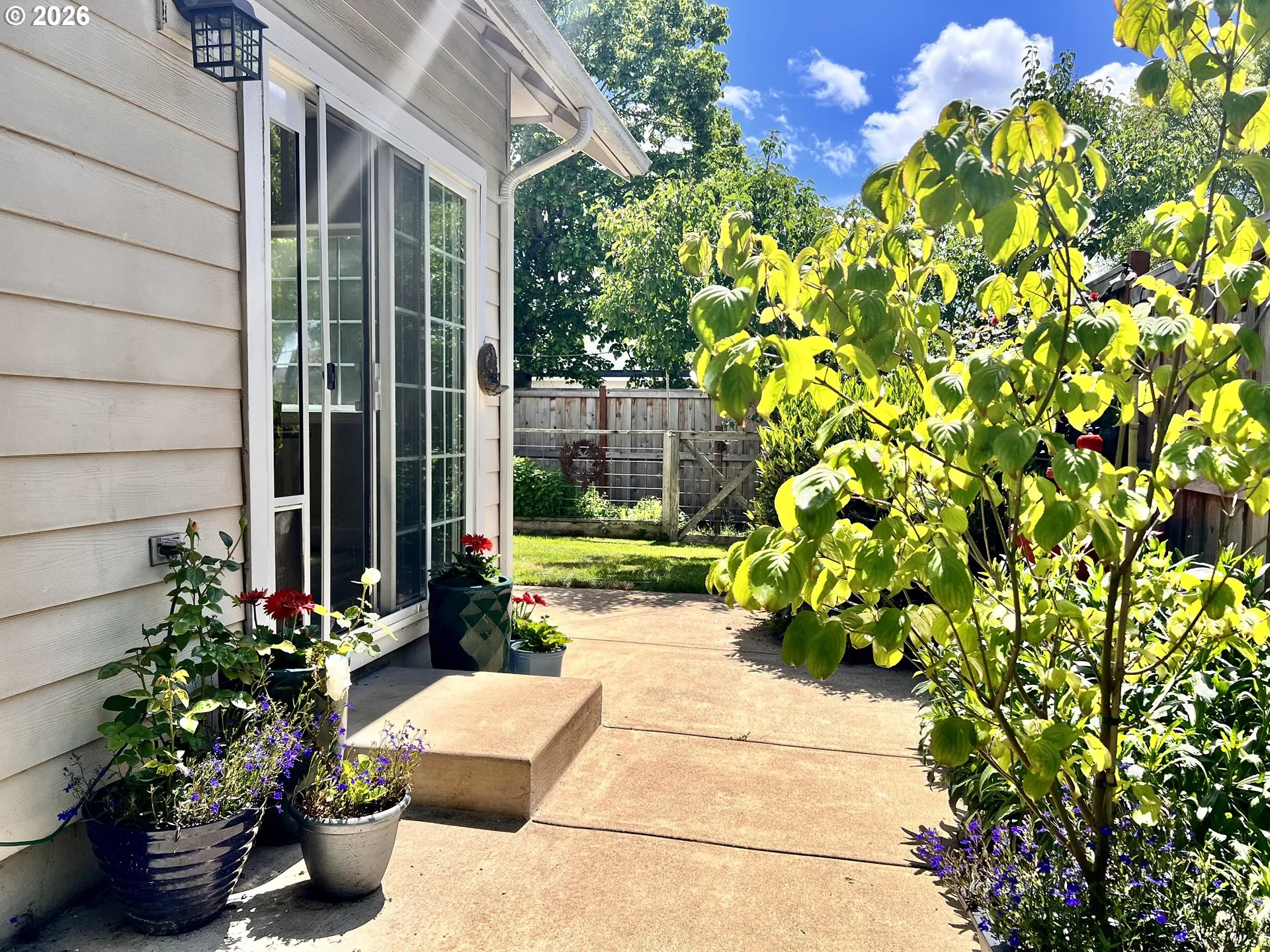 Patio-Backyard