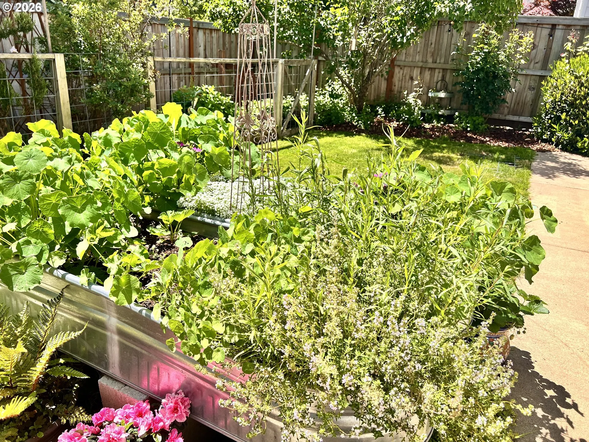 Patio-Backyard