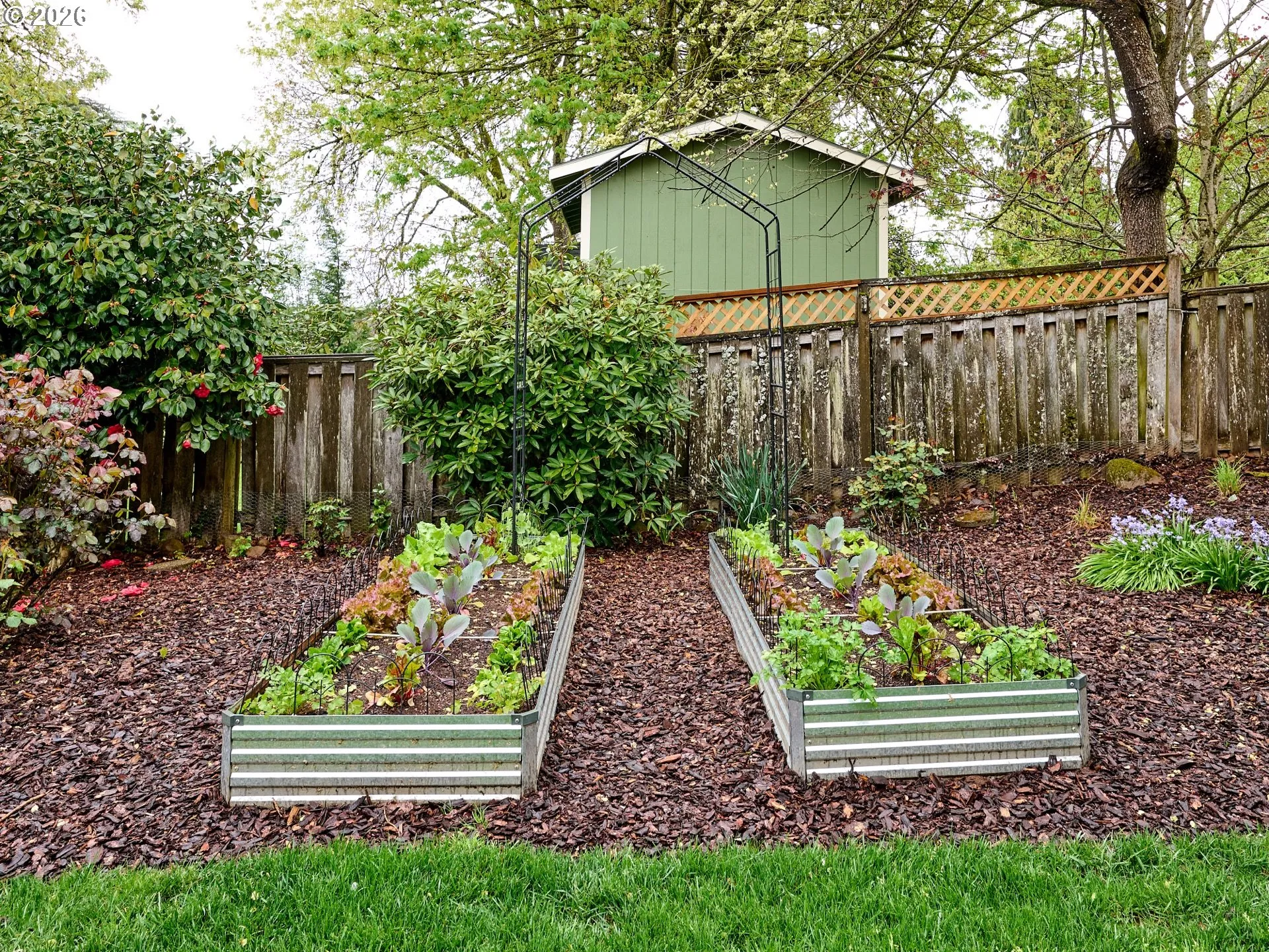 Garden