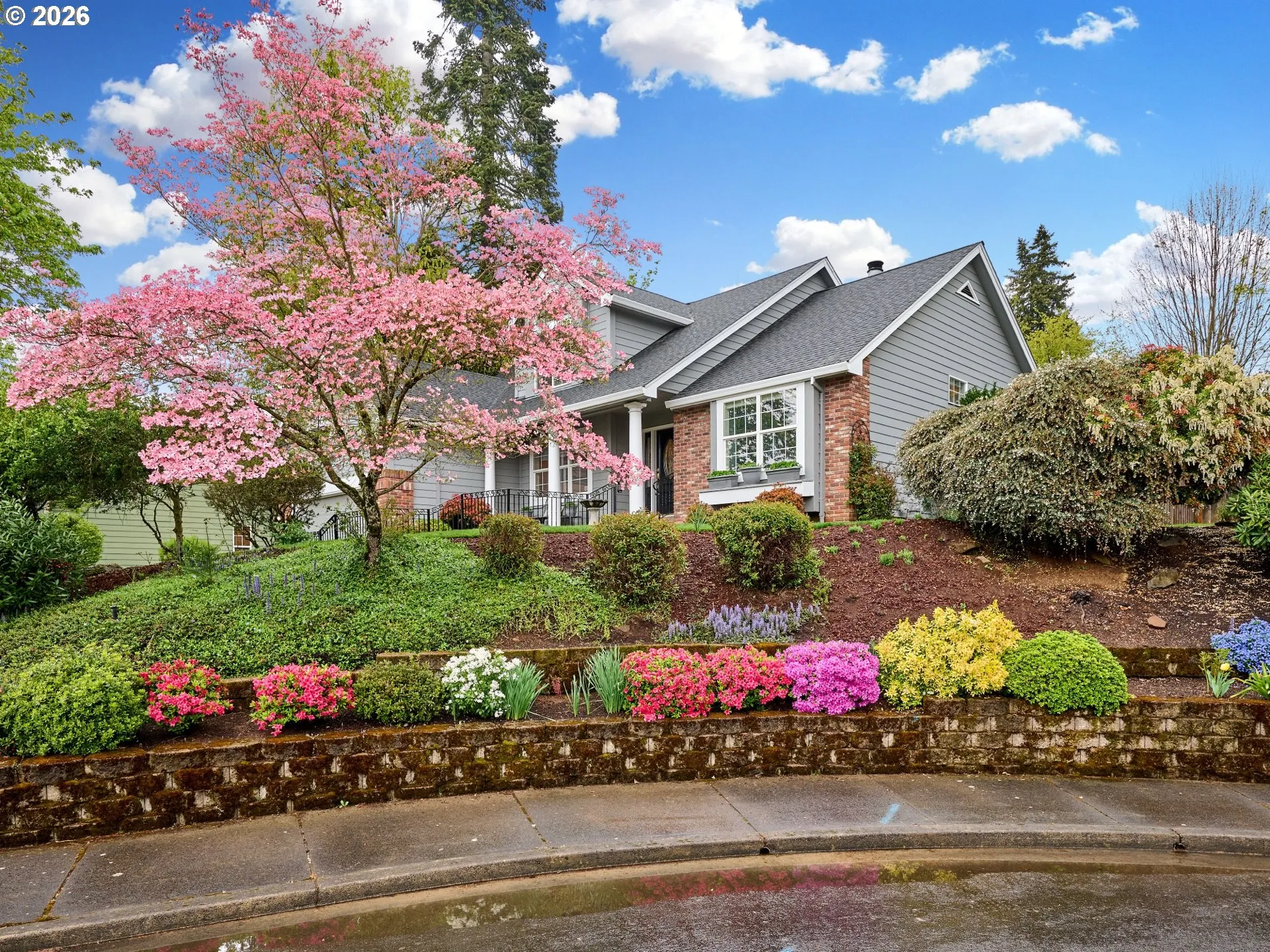 Front Yard