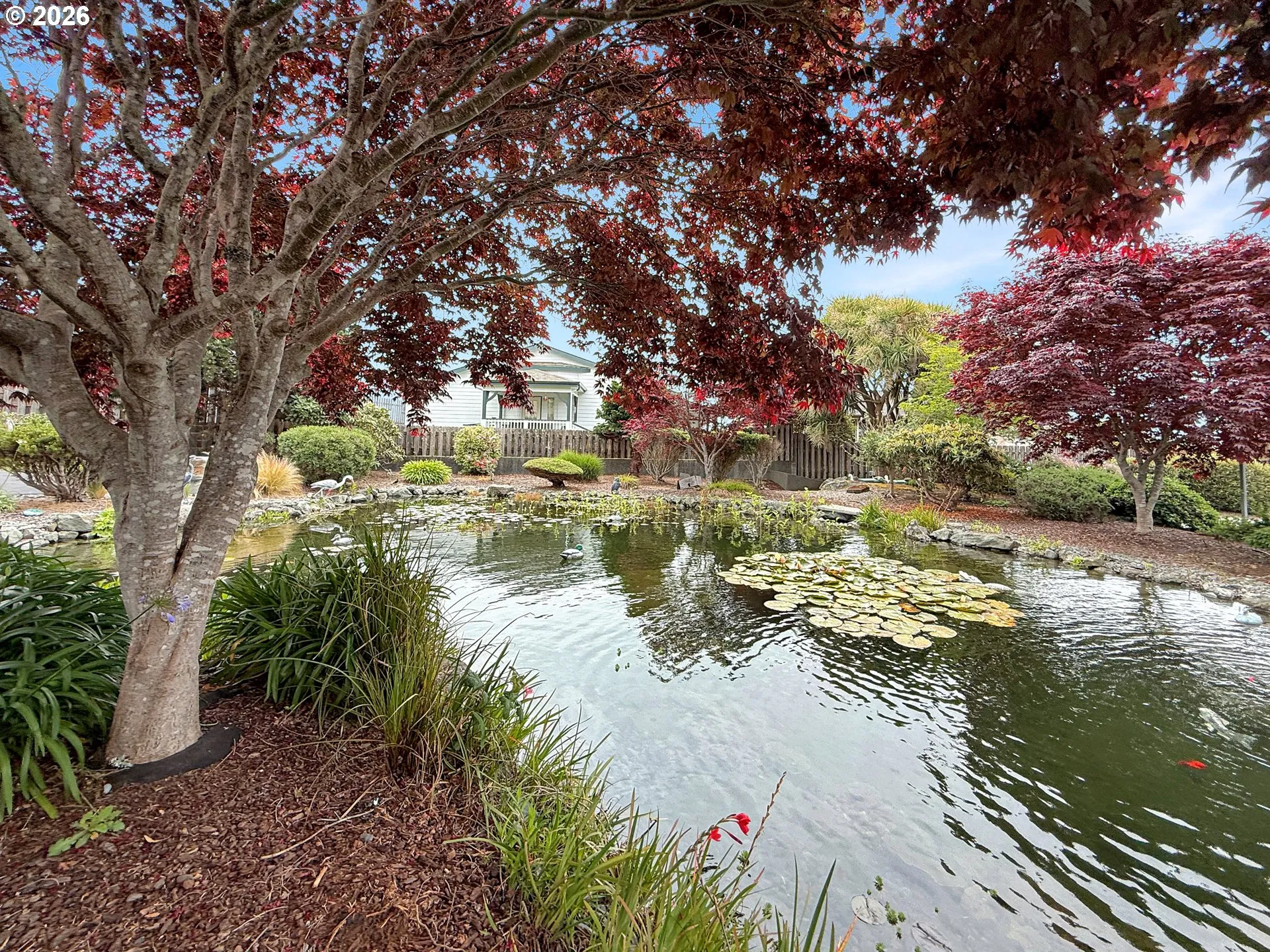 Community Park