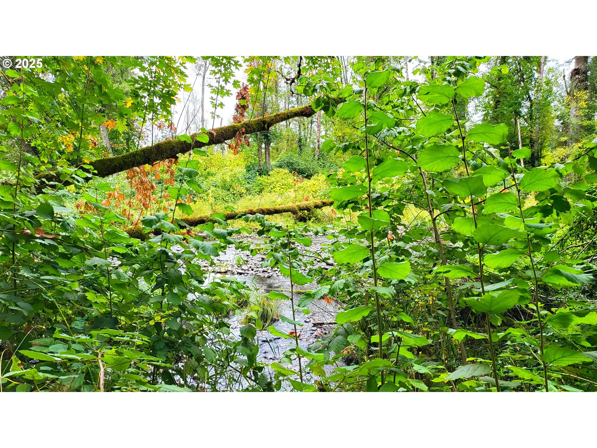 Creek-Year Round
