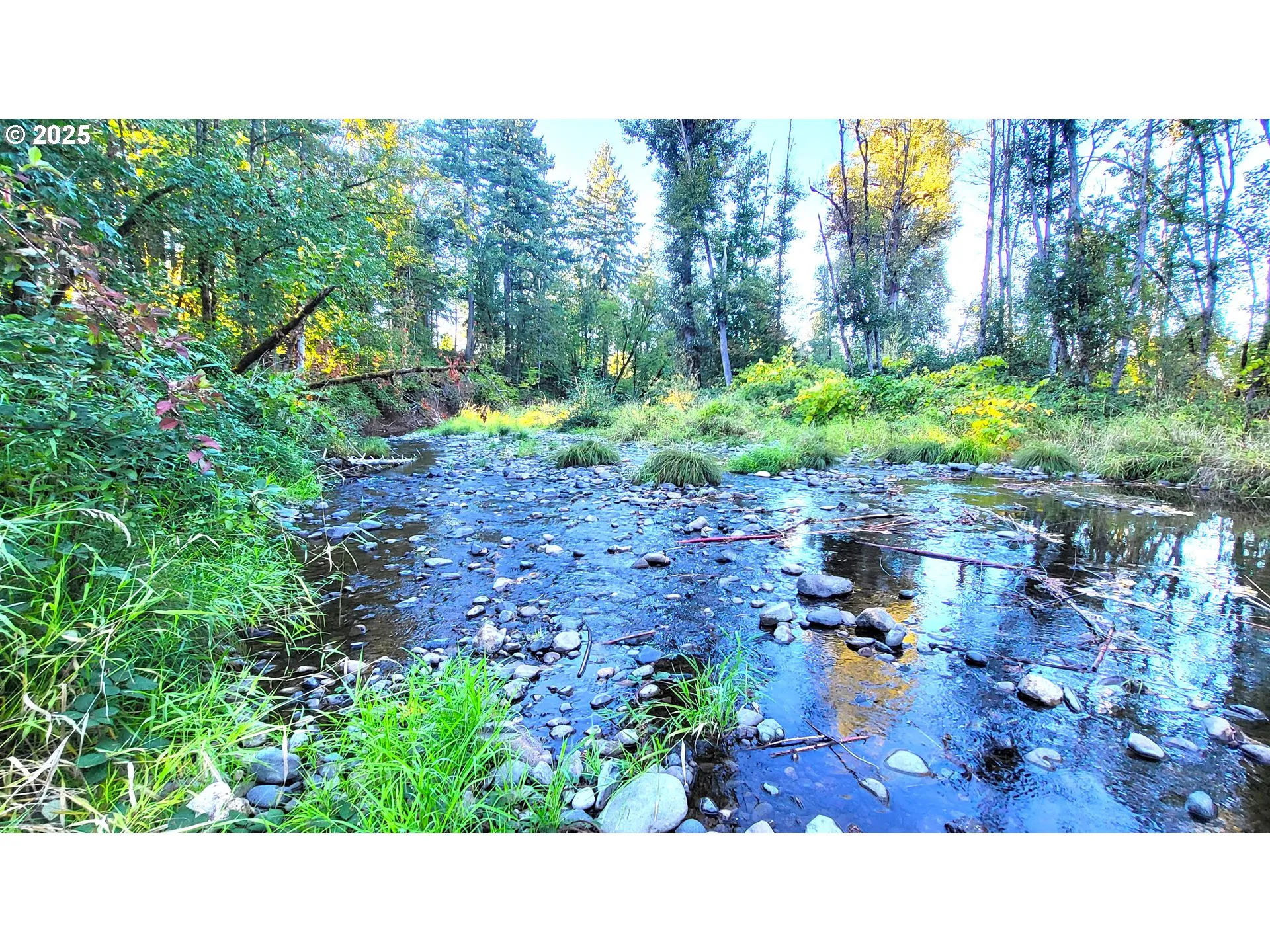 Creek-Year Round