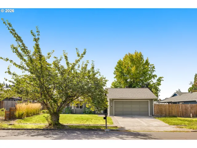 Front Yard