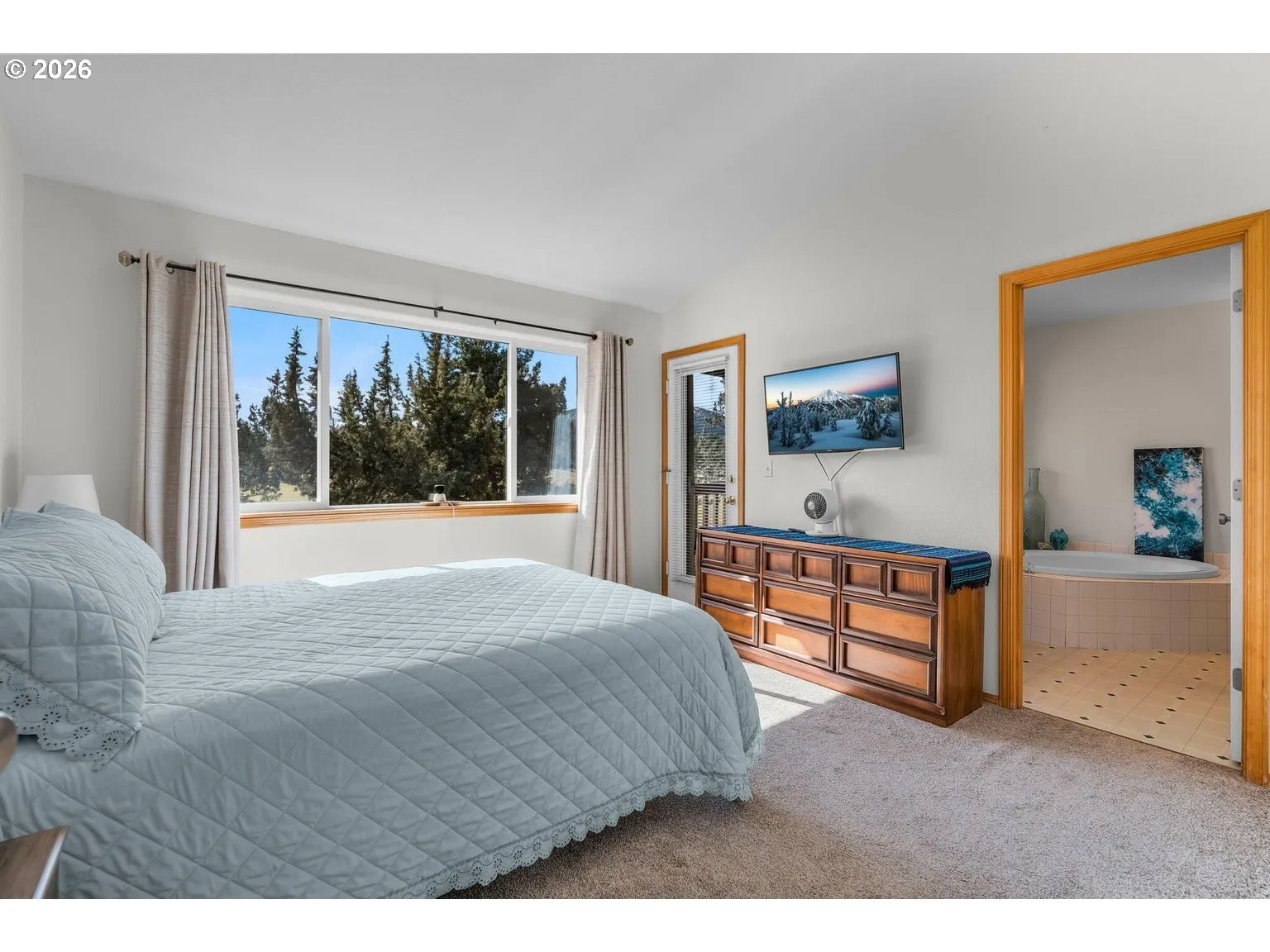 Bedroom, Primary-Skylight